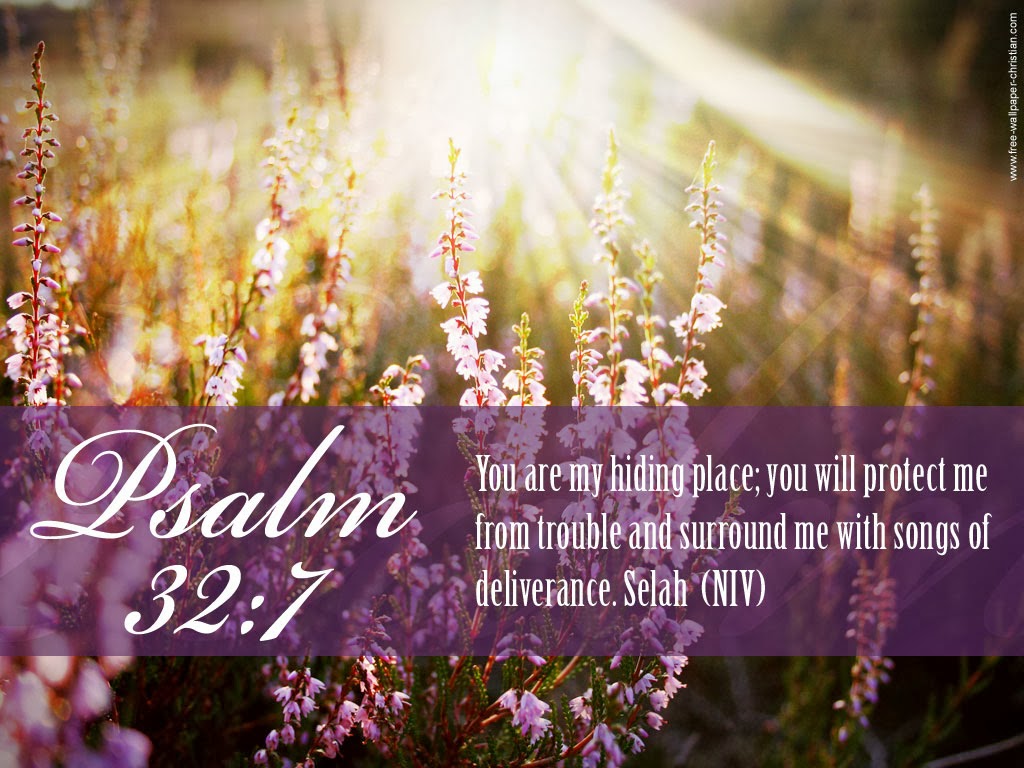 bible verse wallpaper for desktop, nature, lavender, text, font, purple, morning, flower, spring, plant, lavender
