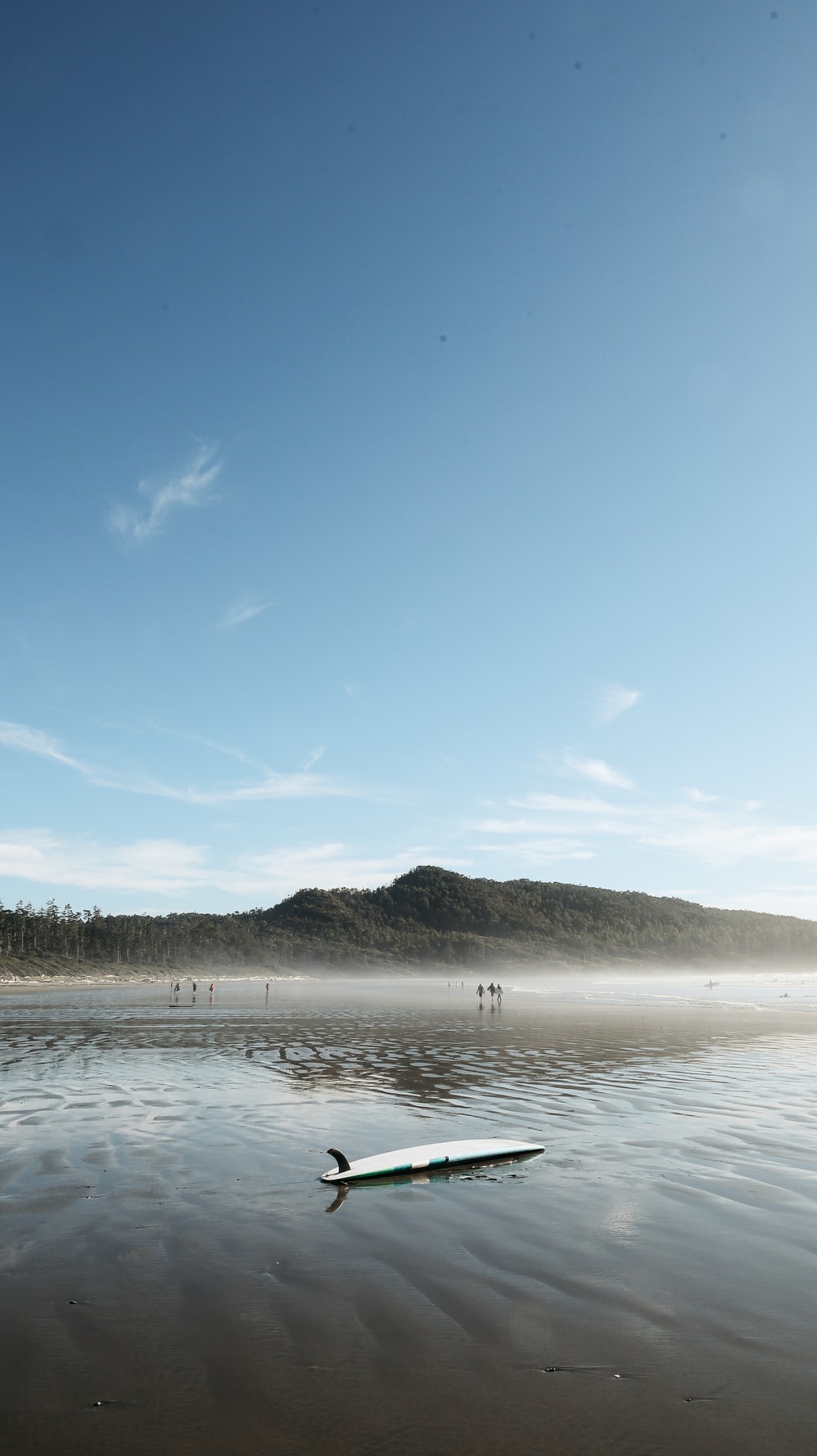 Tofino Picture. Download Free Image