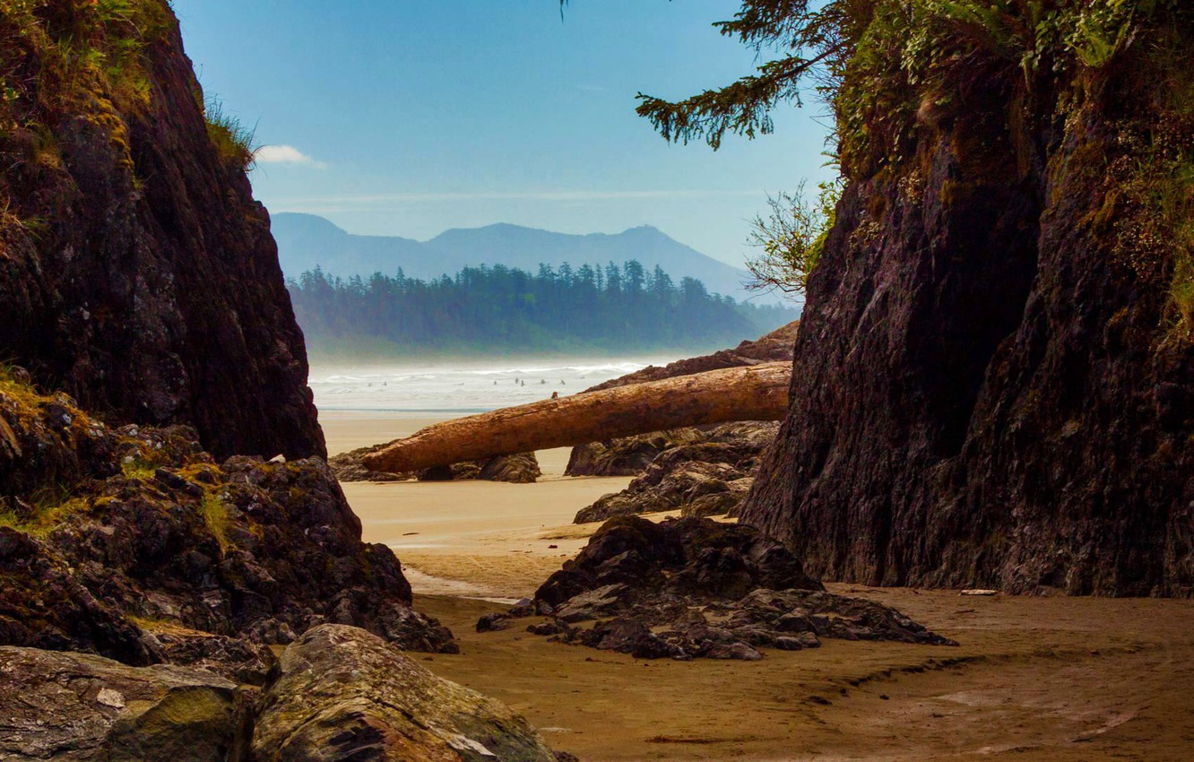 Wallpaper beach, trees, mountains, rocks, Canada, Tofino image for desktop, section пейзажи
