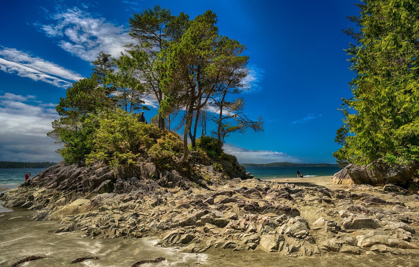 Wallpaper the sky, clouds, trees, rocks, Canada, British Columbia, Tofino image for desktop, section природа