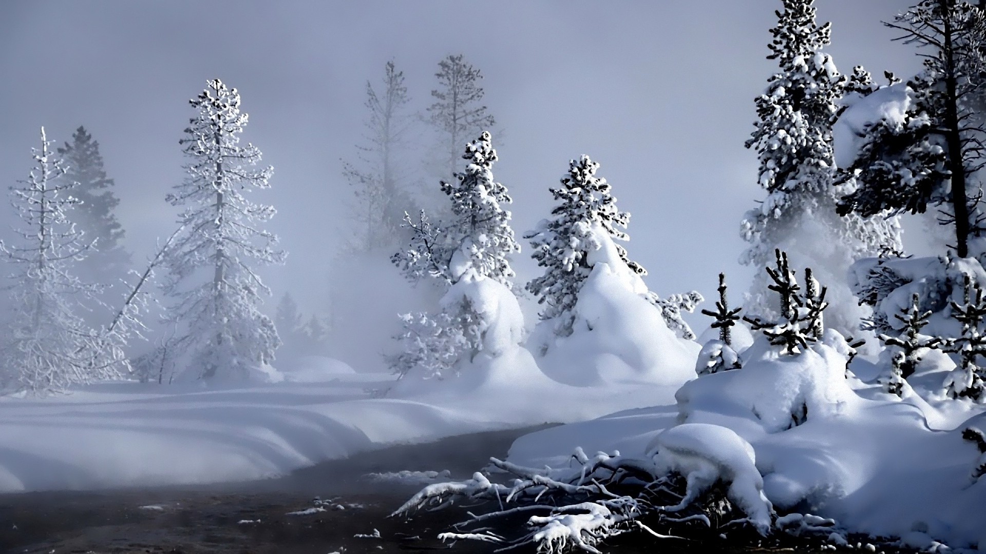 Winter, river, evaporation, forest