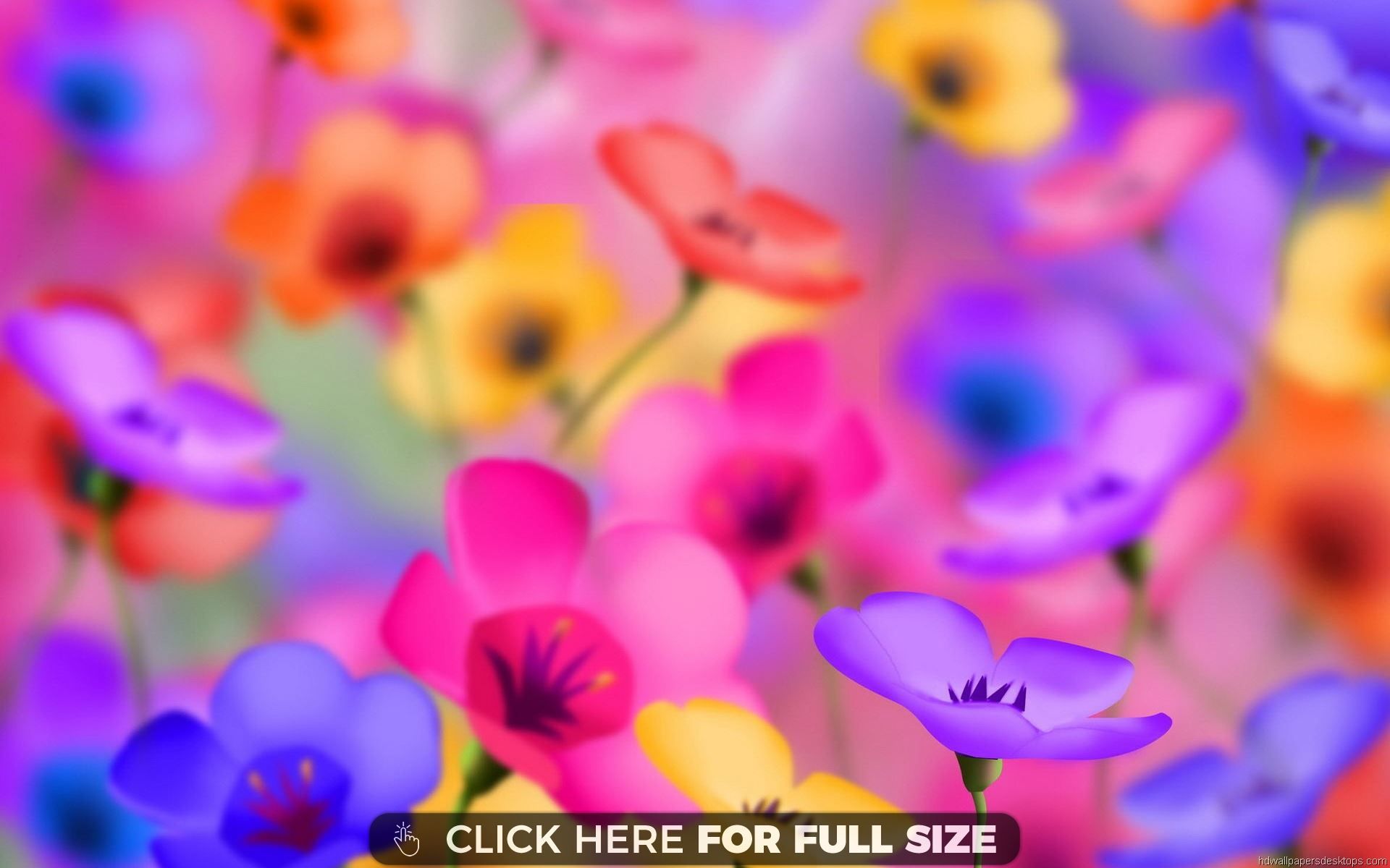 Hd Computer 178. Amazing flowers, Flower wallpaper, Colorful flowers