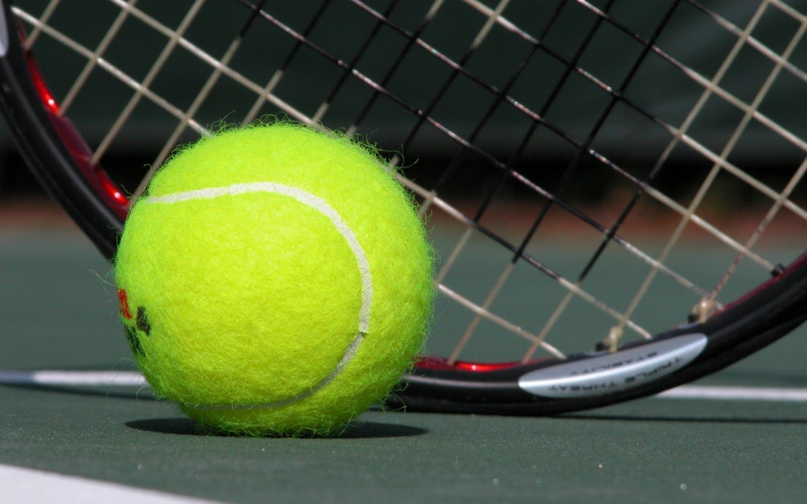 Sports Wallpaper, Background, Image. Design Trends. Tennis ball, Tennis, Play tennis
