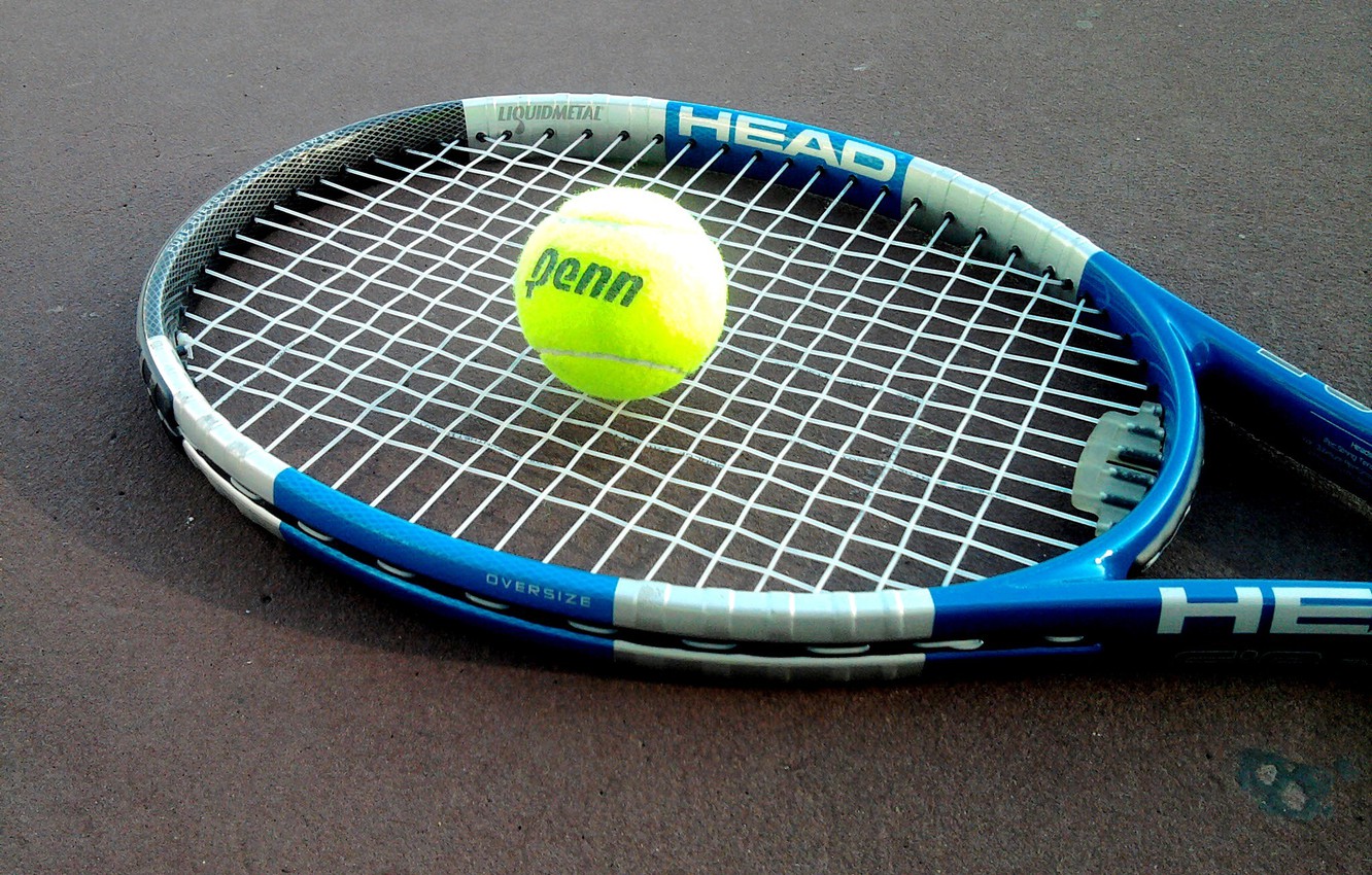 Wallpaper the ball, racket, tennis, court image for desktop, section спорт