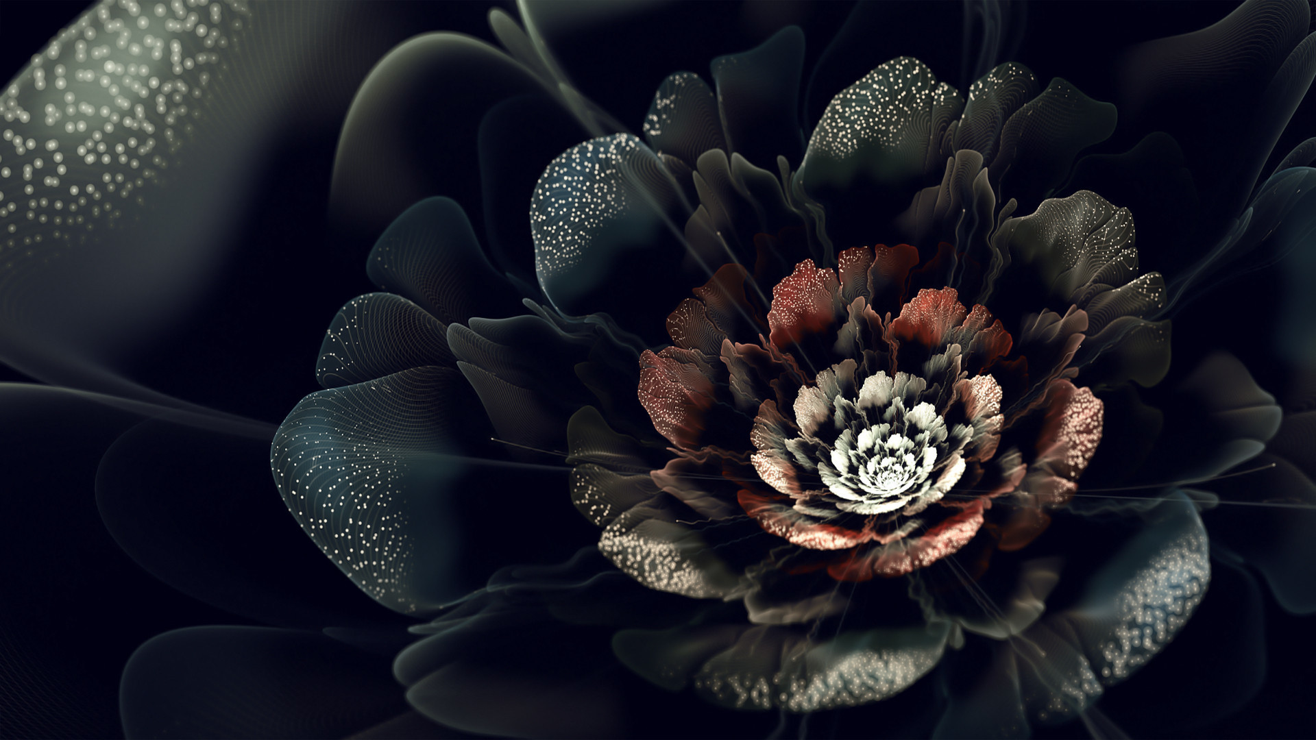 Flowers on Black Background