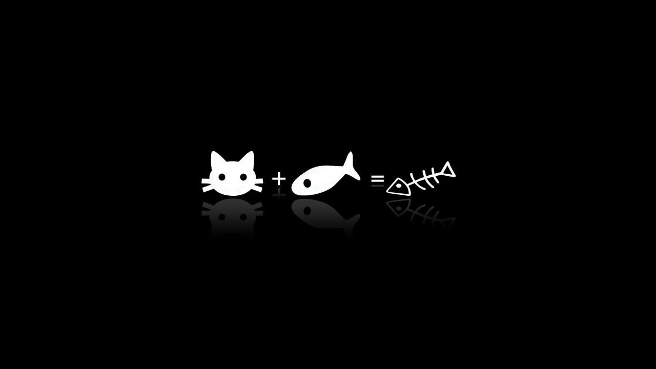 Aesthetic Black Wallpaper, Cat, Fish • Wallpaper For You