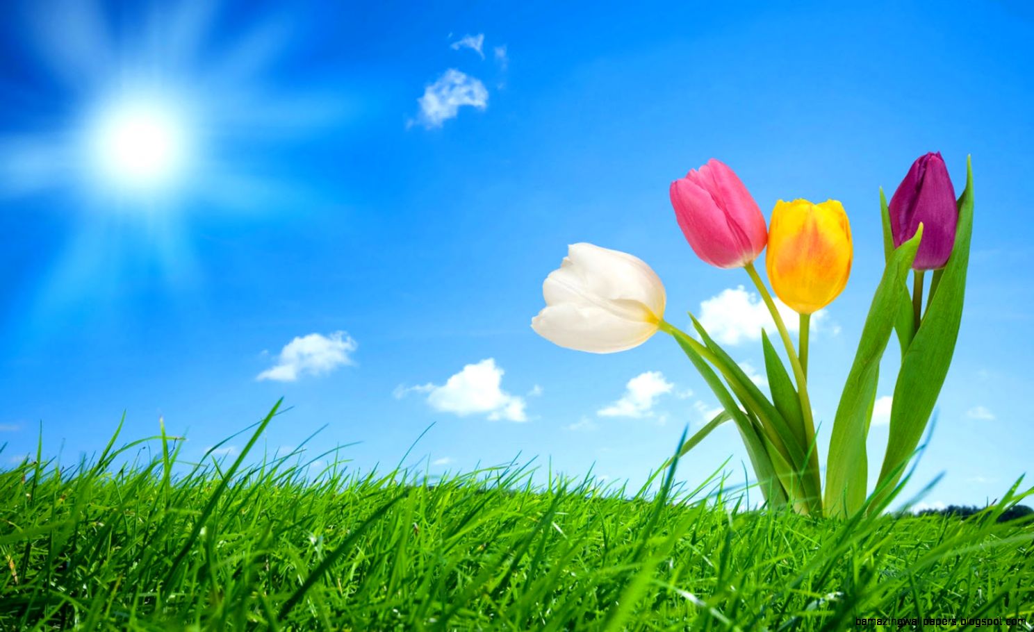 Spring Computer Wallpaper Background Wallpaperafari Image With Flowers HD Wallpaper & Background Download