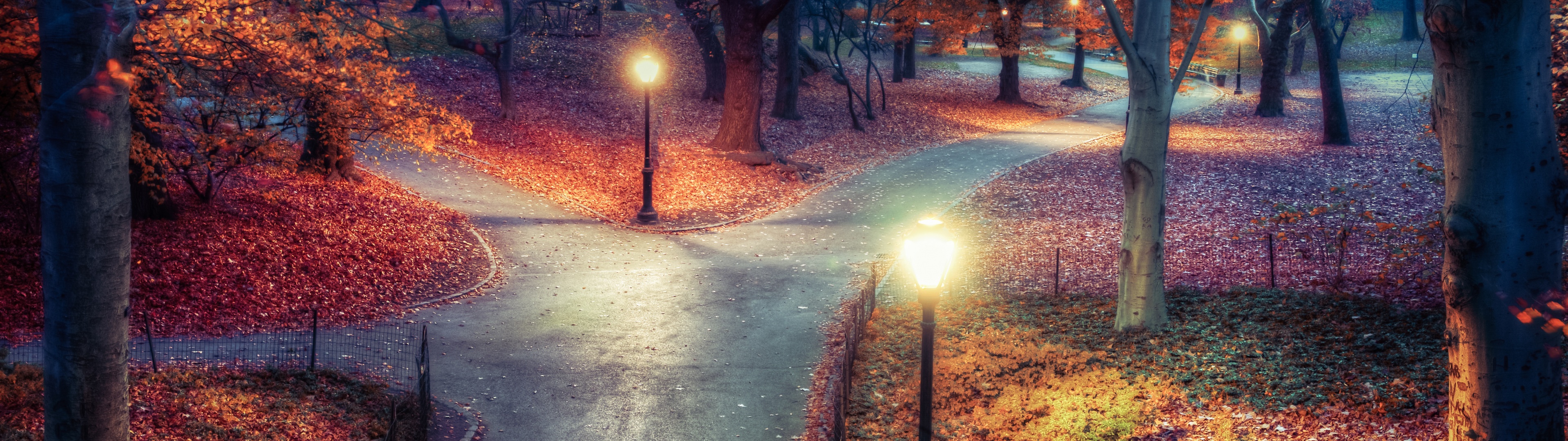 Central Park Wallpaper 4K, New York City, Autumn leaves