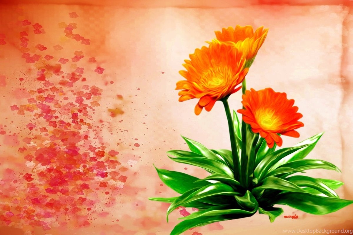 Flowers: Orange Flowers Spring Nature Flower Full HD Wallpaper Desktop Background