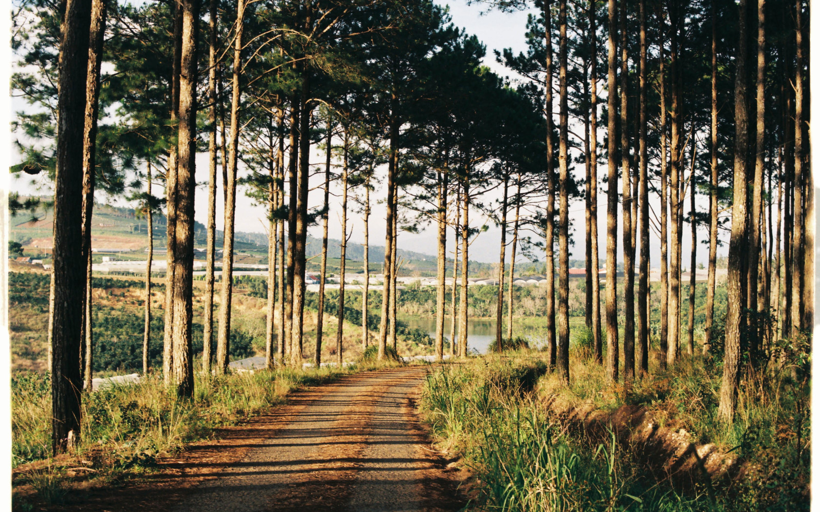 Wallpaper Dalat, Vietnam, Forest, Sun, River, Trees • Wallpaper For You