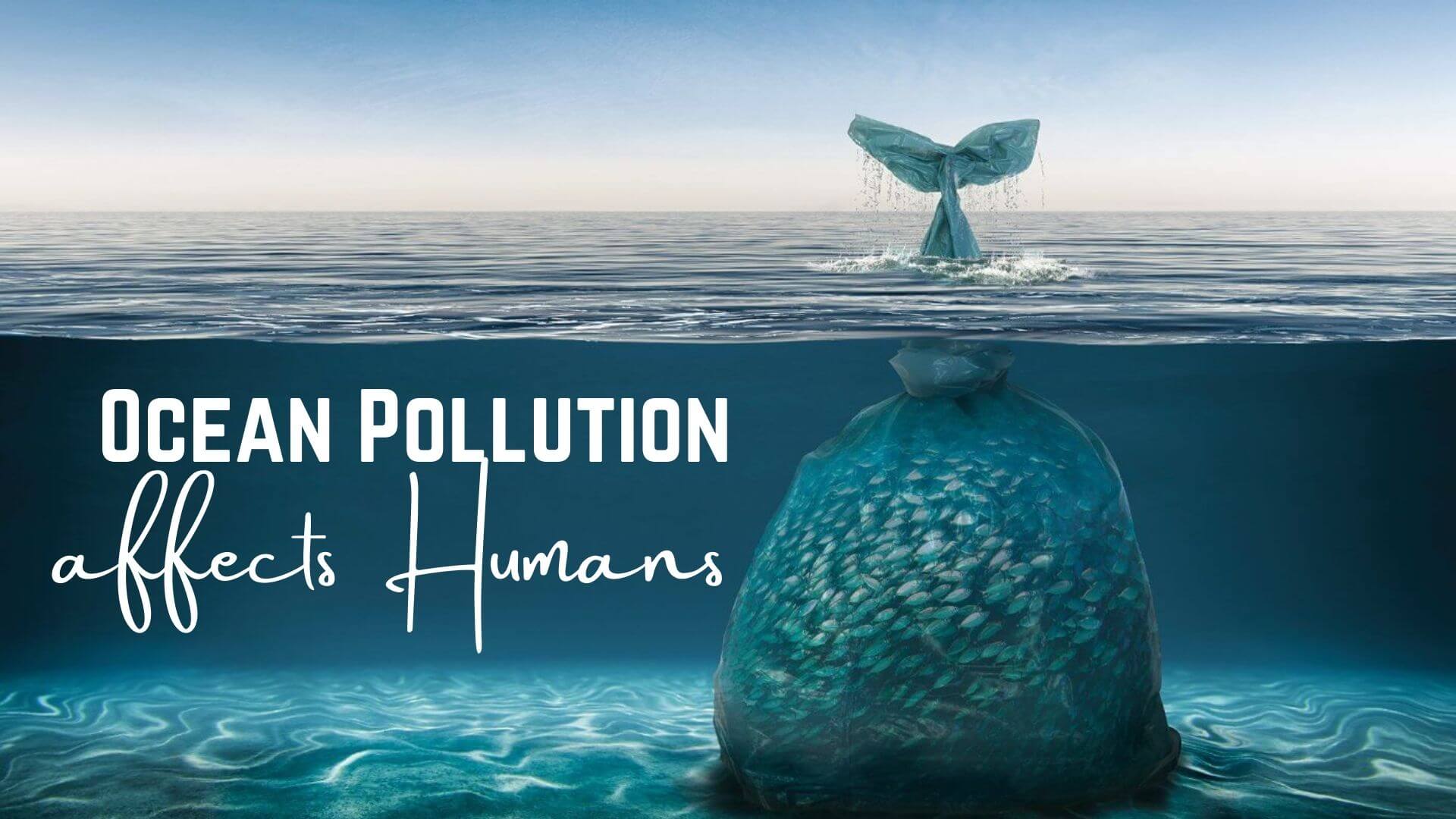 Maritime infographic: How Ocean Pollution affects Humans