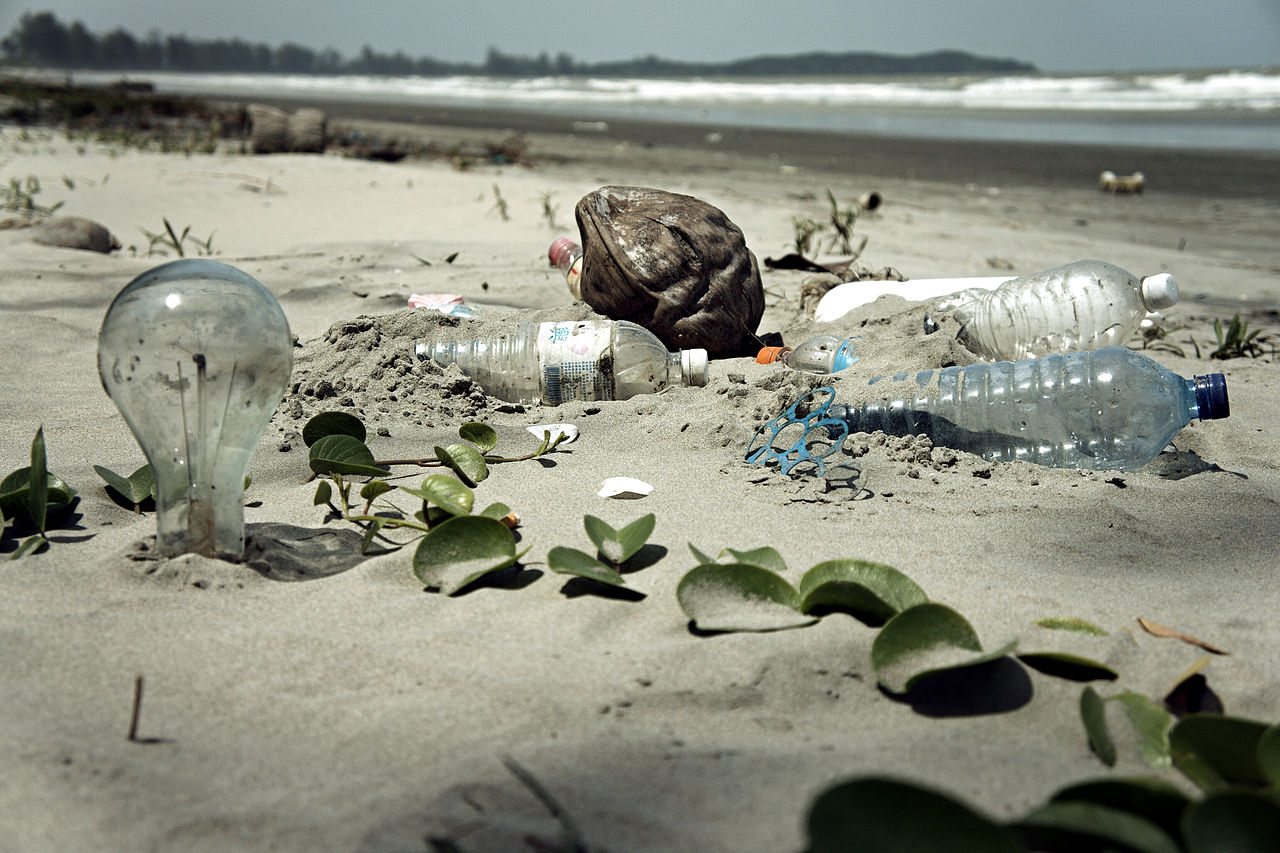 Ocean Optimism: The Problem of Plastic Pollution in the Ocean