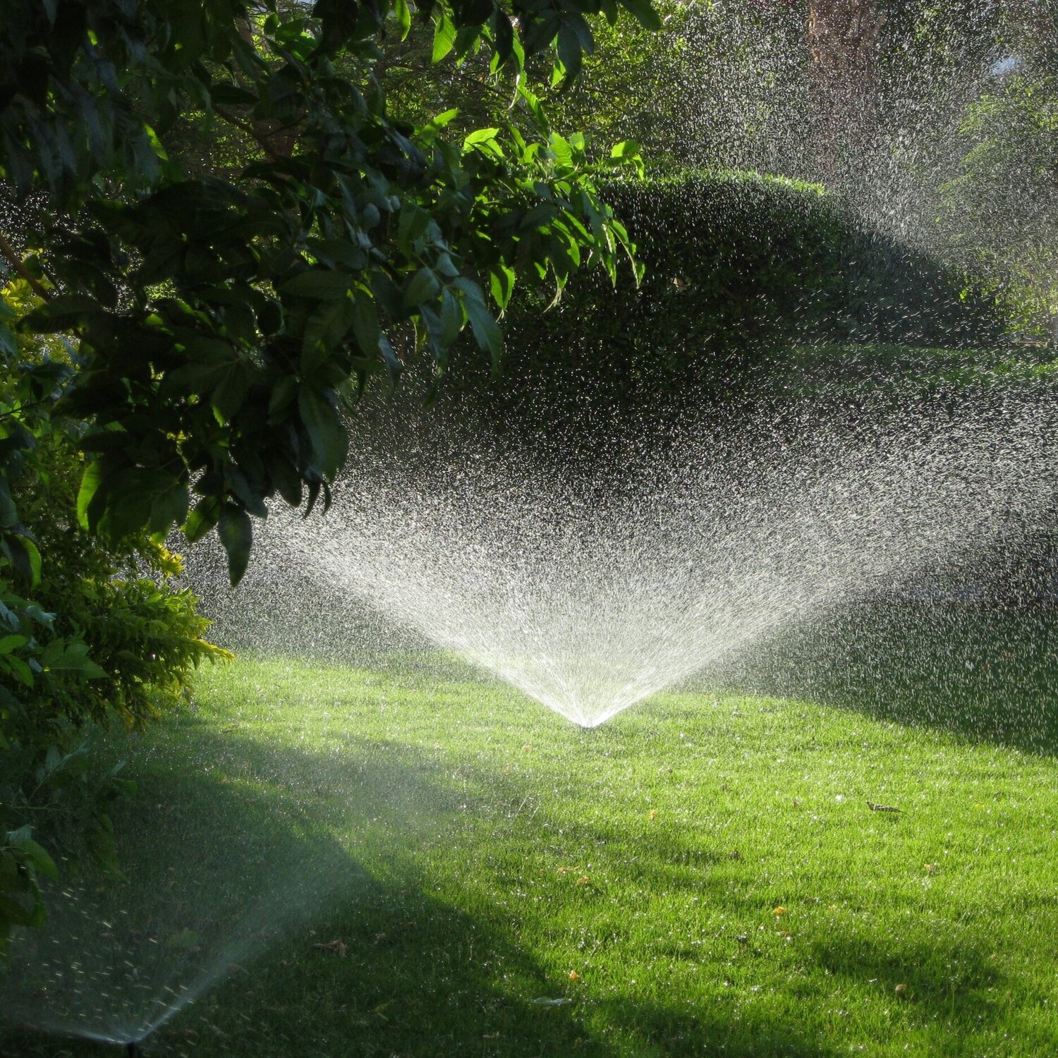 How To Tune Up Your Sprinklers This Spring
