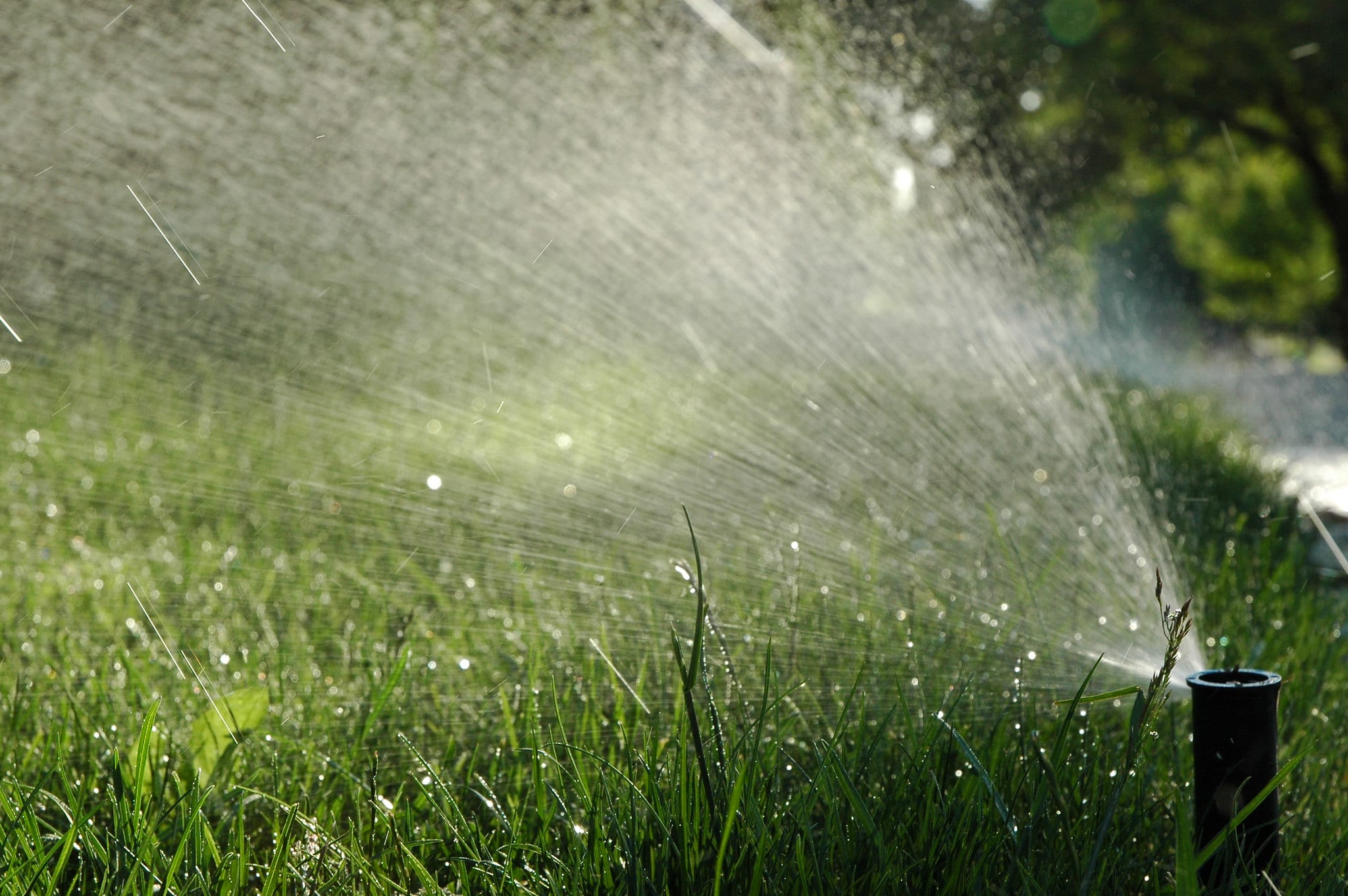 Expert Sprinkler Repair Services for Ennis, TX