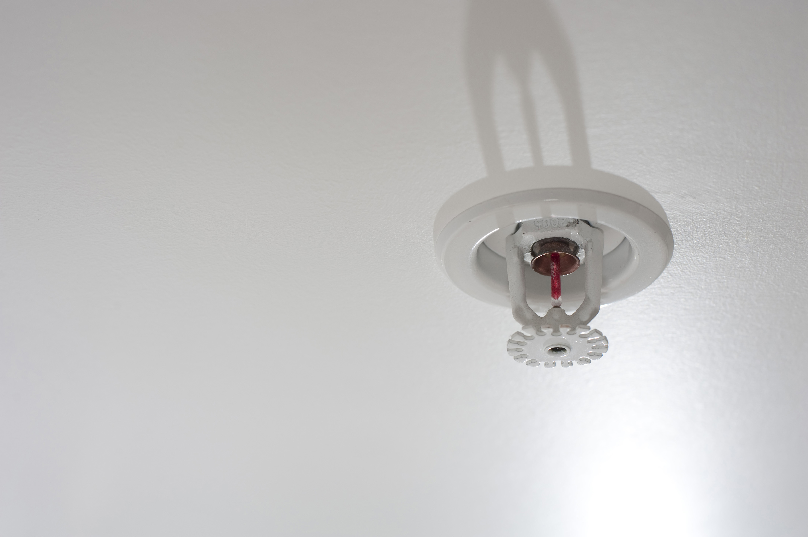 Free image of Overhead domestic fire sprinkler system
