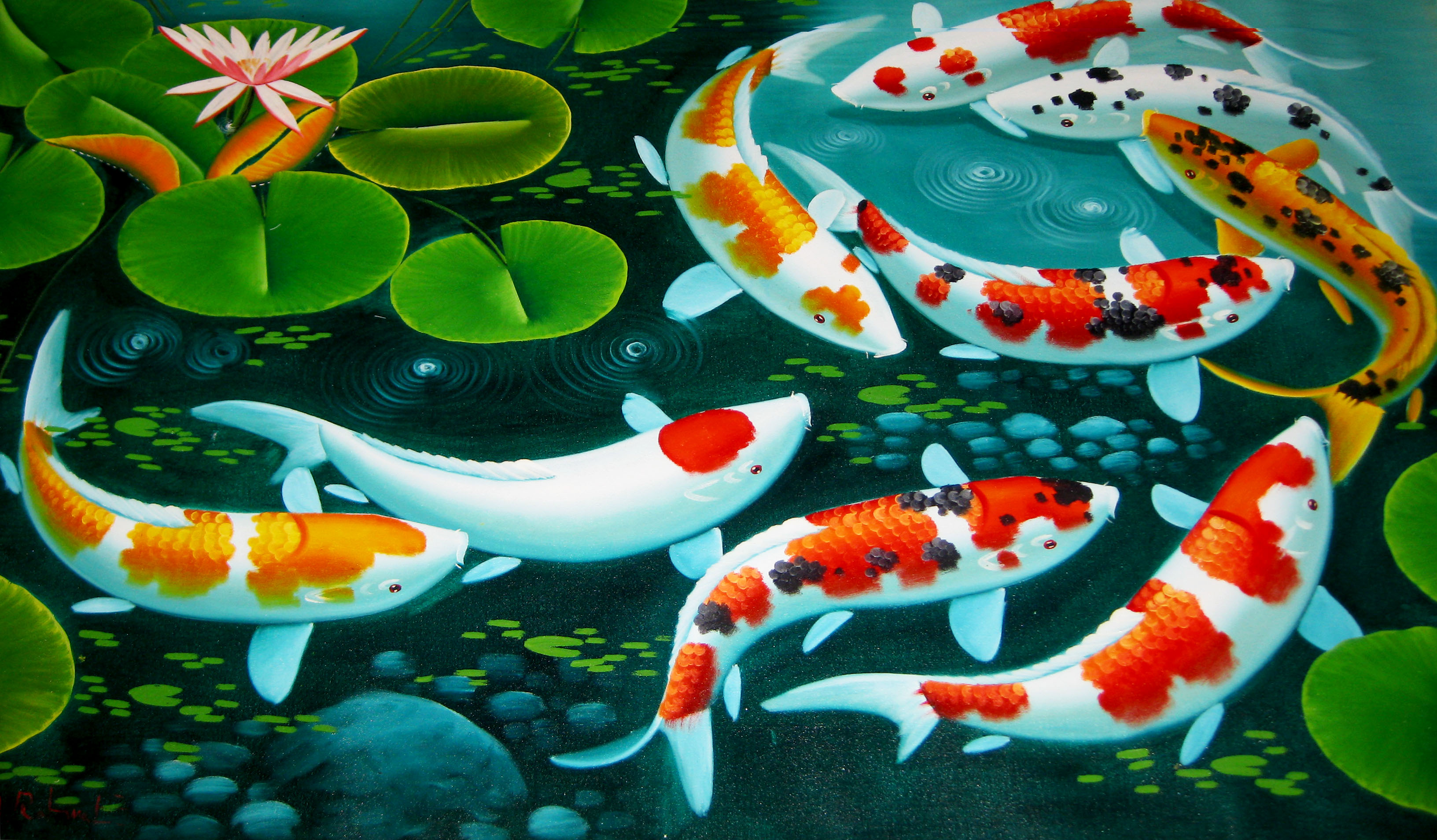 japanese koi fish pond wallpaper