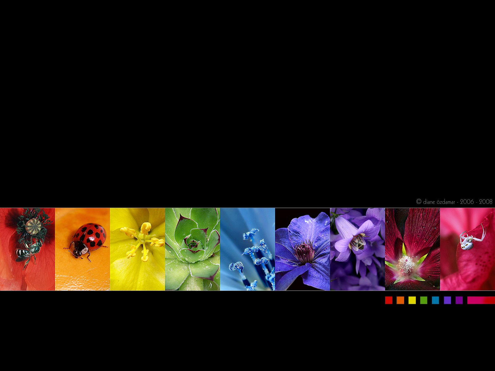 Natural Rainbow desktop PC and Mac wallpaper