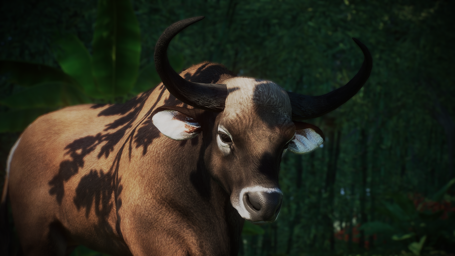 1.8) New Species Banteng at Planet Zoo Nexus and community