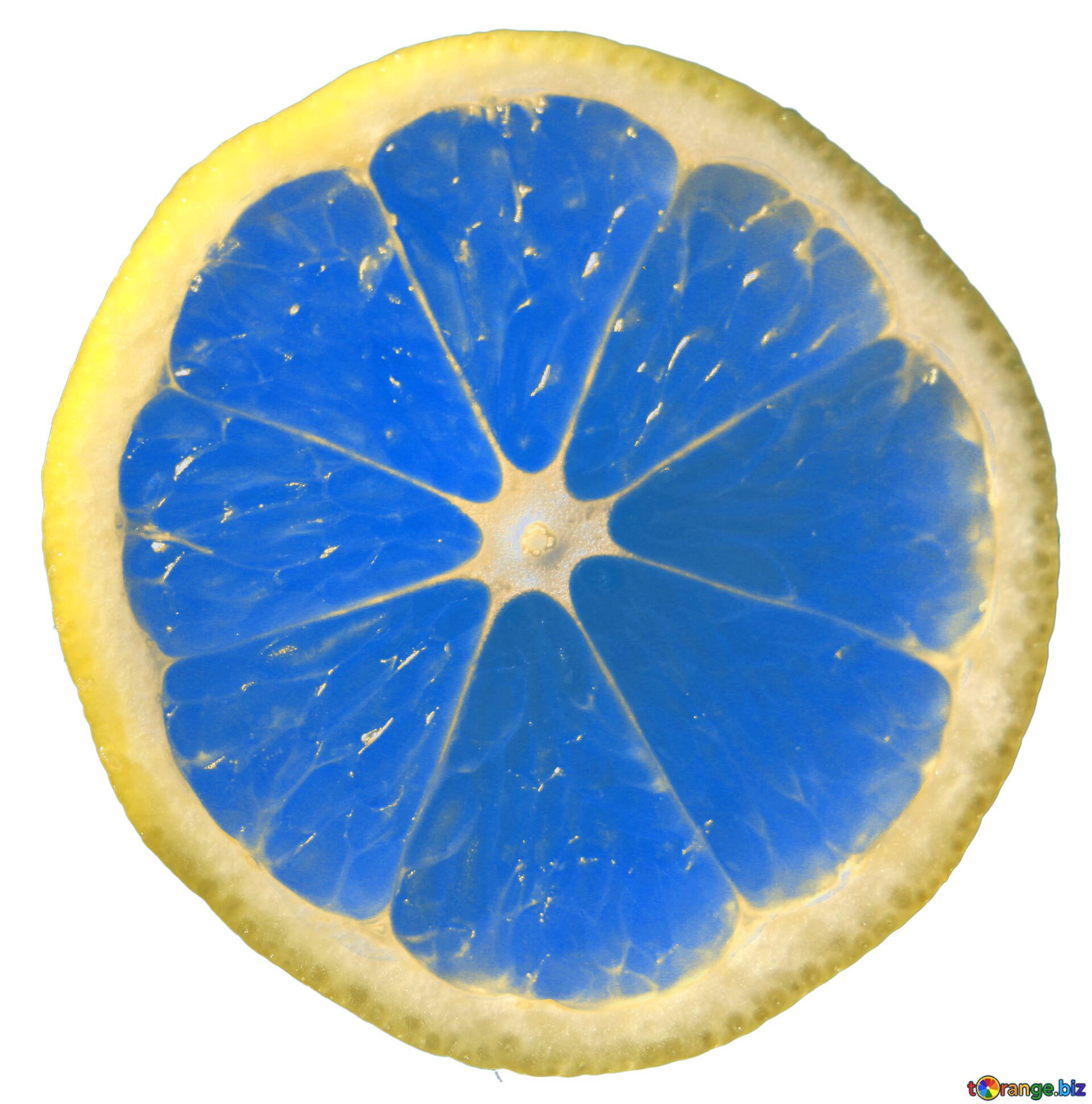 Sliced Lemon Wallpapers Wallpaper Cave