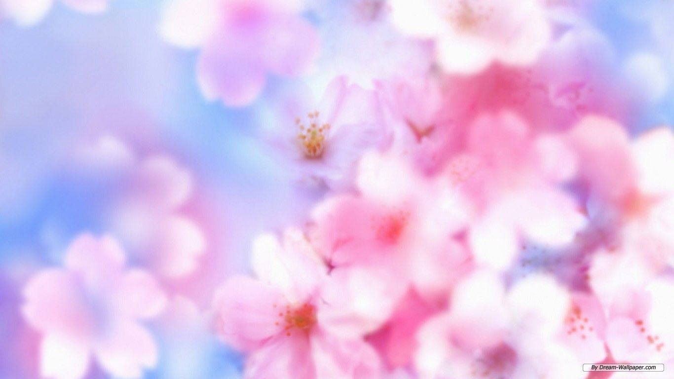 Pastel Spring Flowers Wallpaper Free Pastel Spring Flowers Background