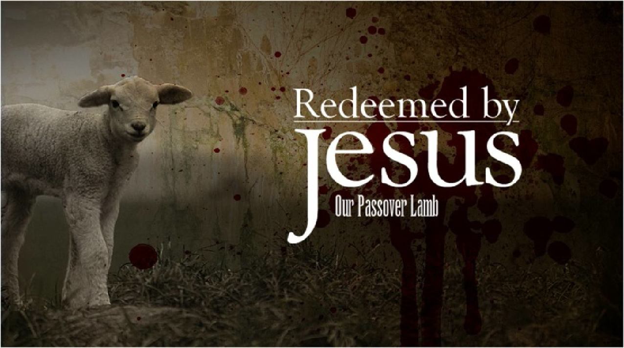 When was the Lamb Slain from the Foundation of the World?