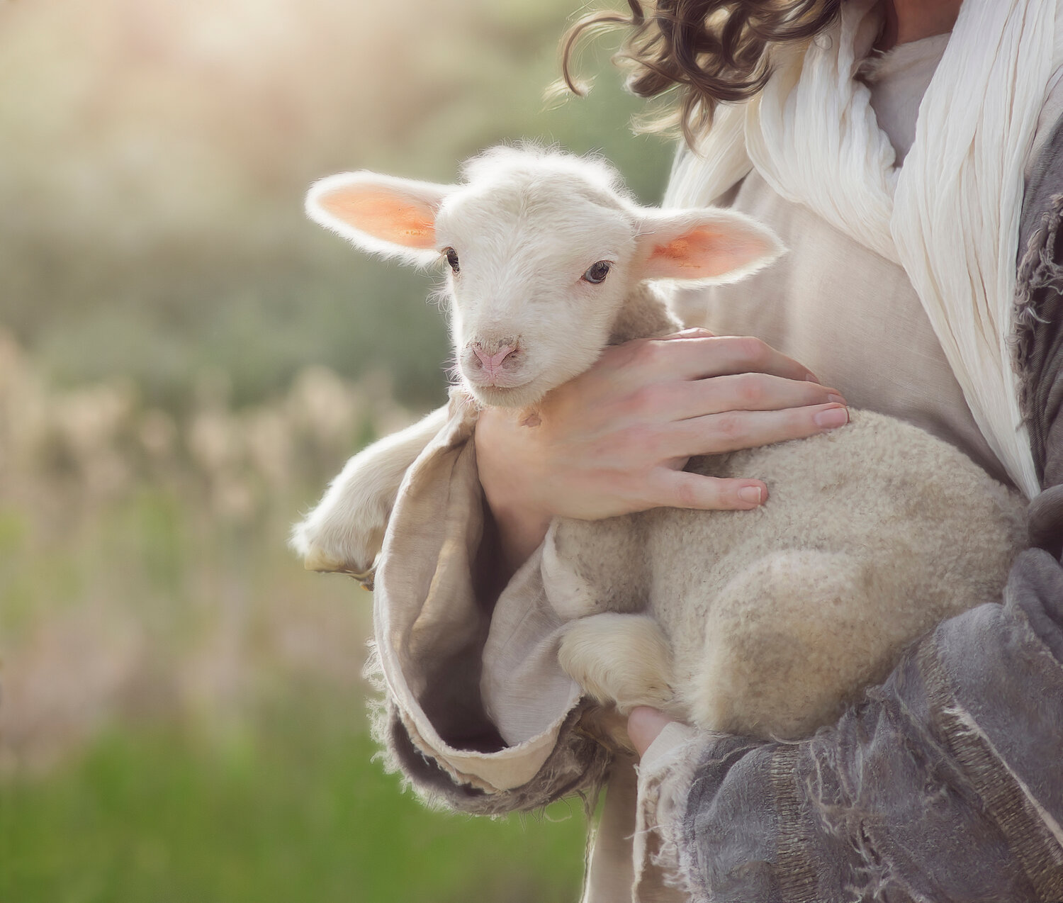 God Will Provide for Himself a Lamb