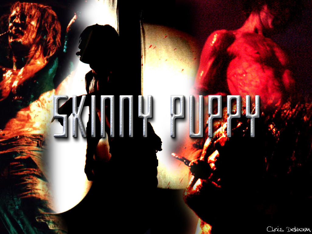skinny puppy. free wallpaper, music wallpaper, desktop backrgounds!