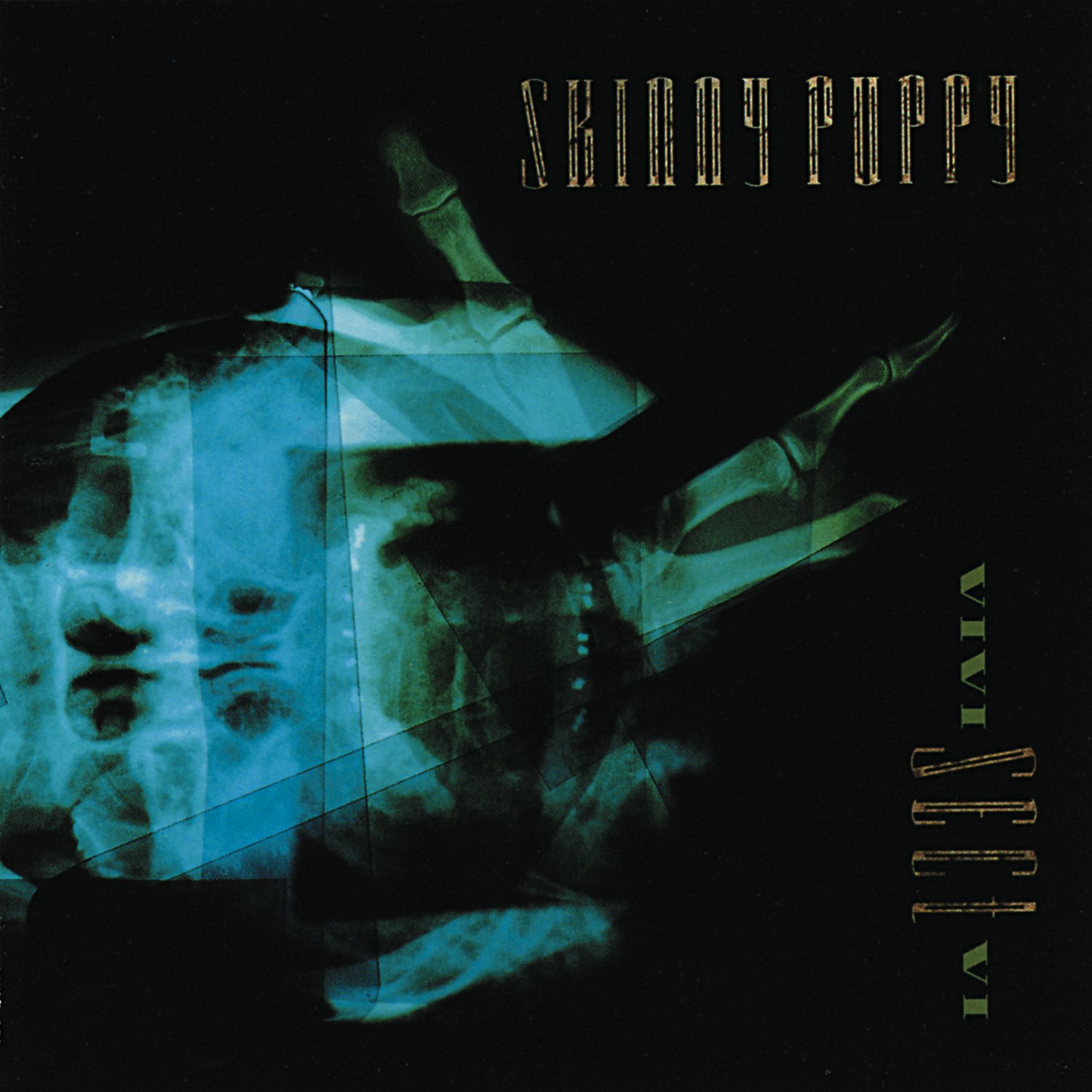 Skinny Puppy Sect Vi.com Music