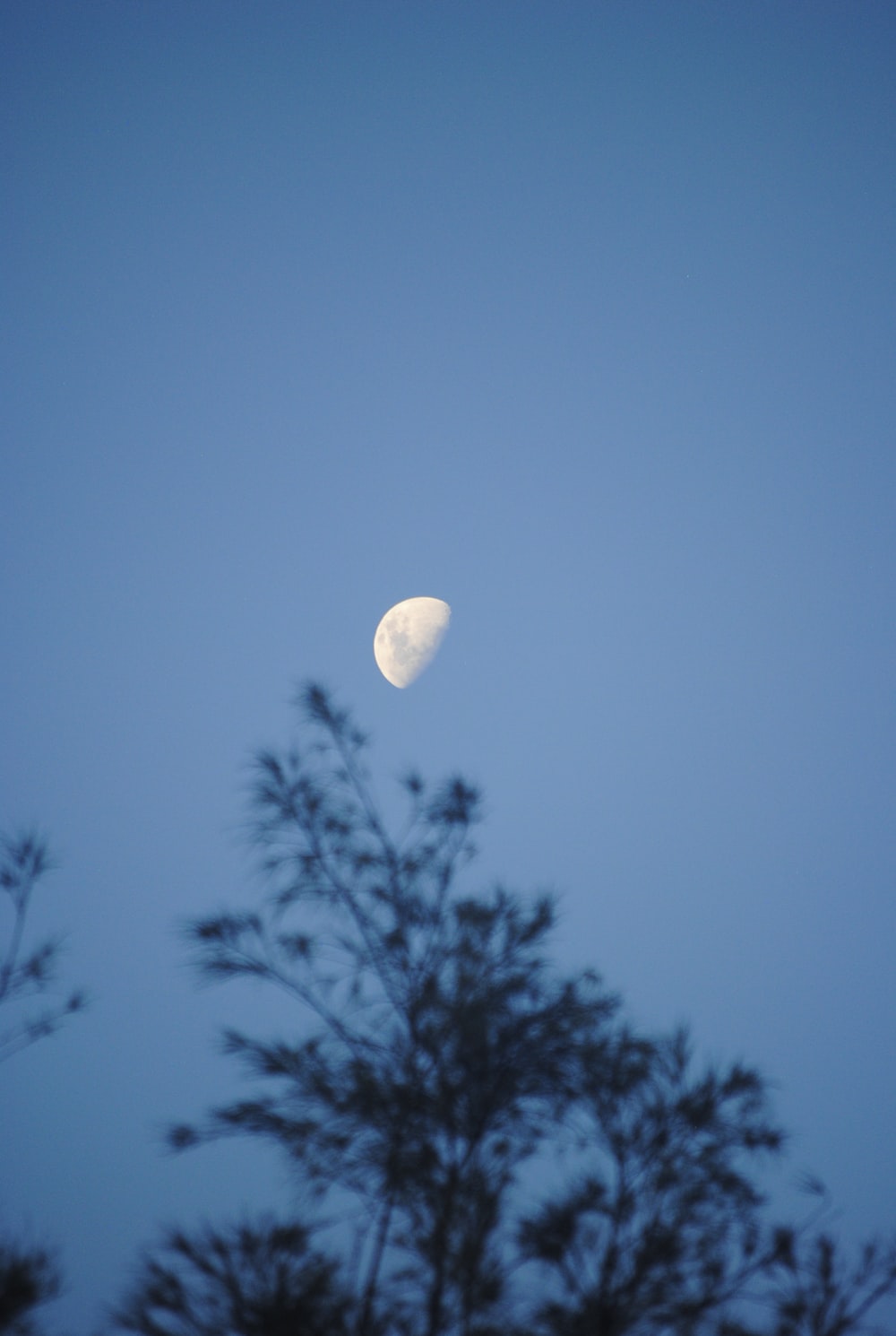 Nature Aesthetic Picture. Download Free Image