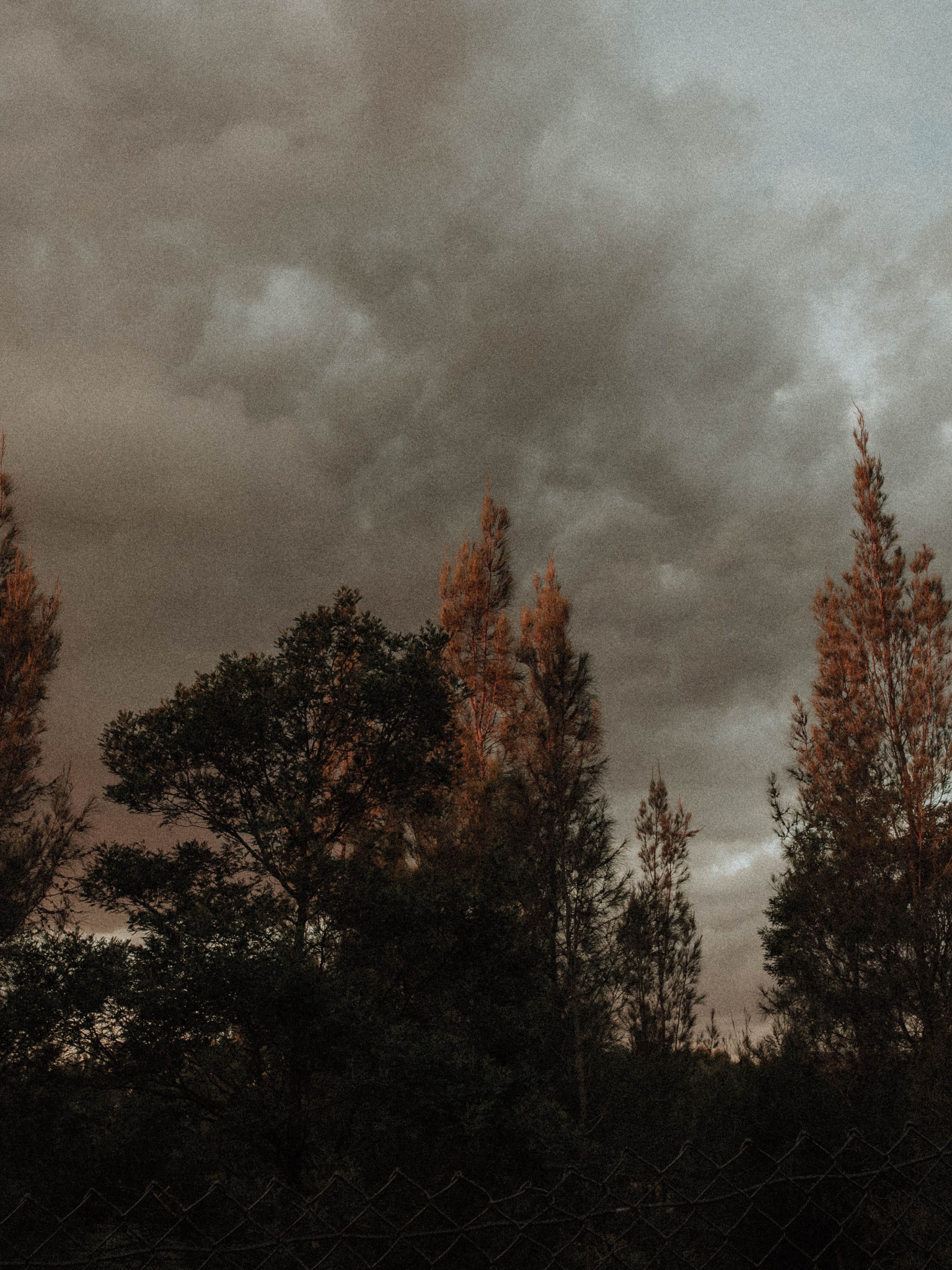 Free download download aesthetics grunge vintage retro tumblr sky anture [1536x2048] for your Desktop, Mobile & Tablet. Explore Vintage Aesthetic Landscape Wallpaper. Aesthetic Wallpaper, Landscape Background, Landscape Wallpaper