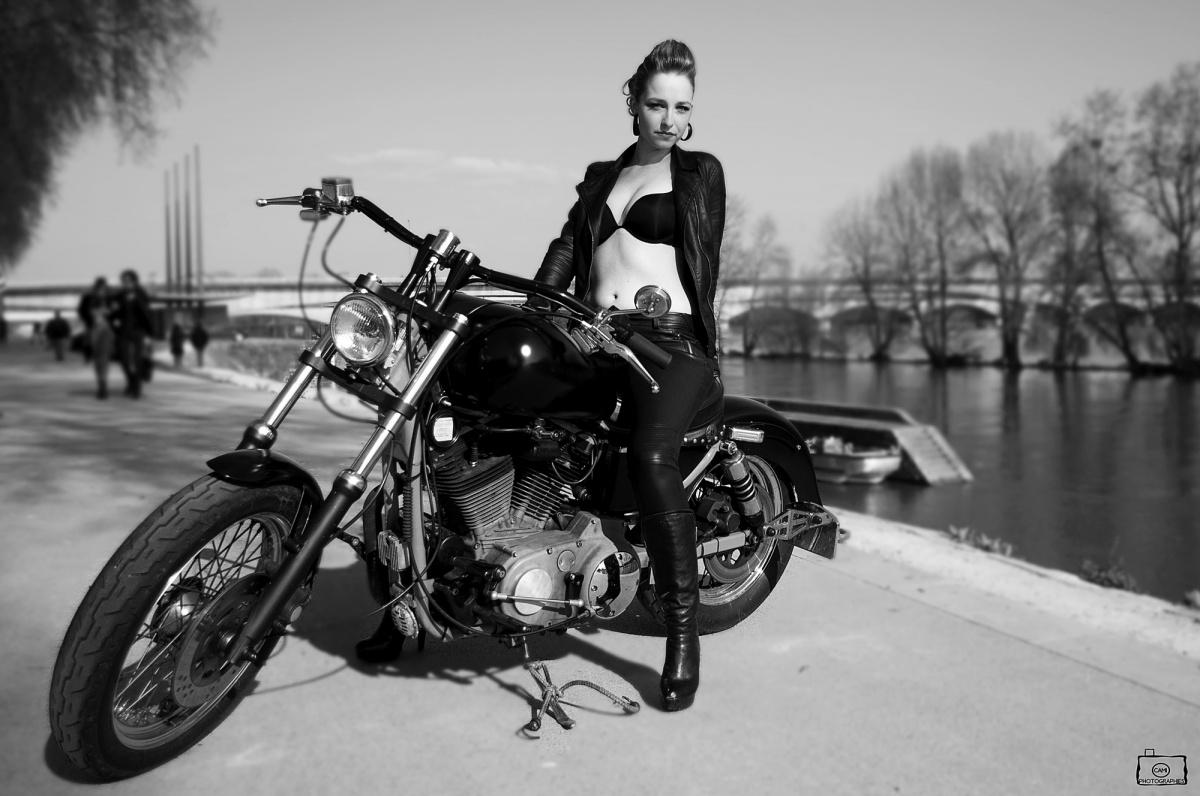 Harley Davidson Pin Up Wallpaper