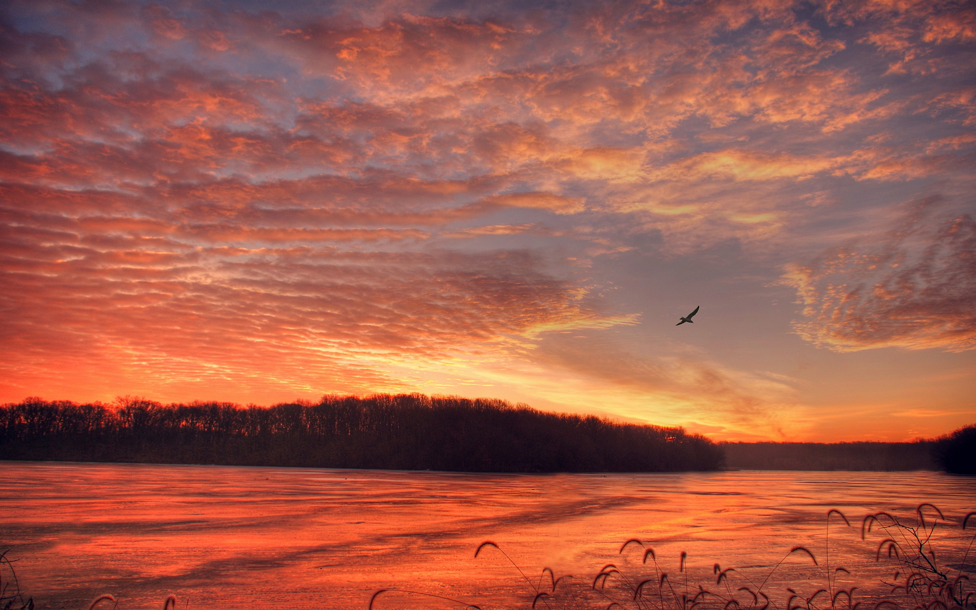 Sunset lake springfield