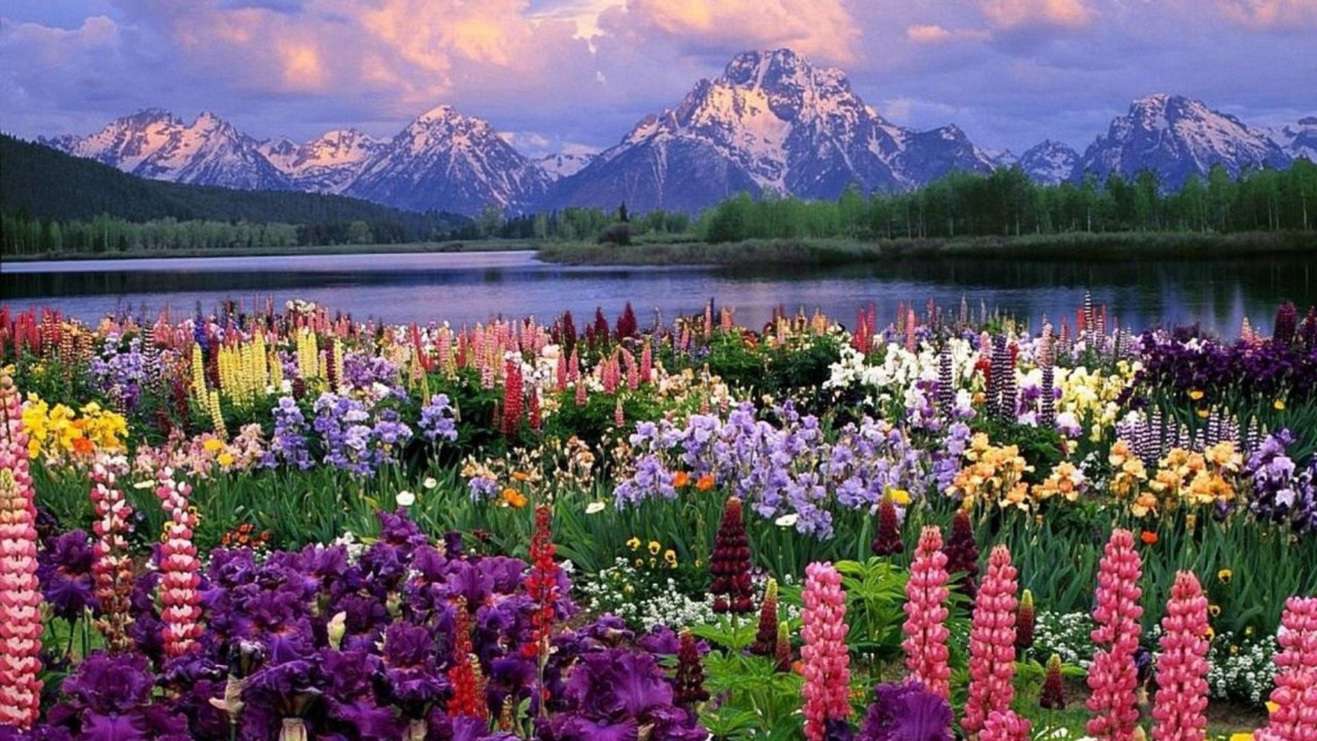 Beautiful Spring Scenery Wallpaper