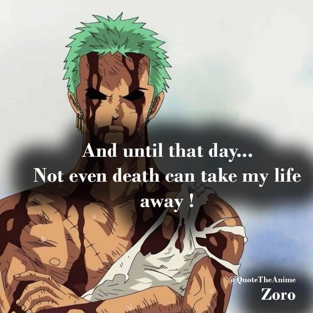 Powerful Zoro Quotes that inspire Greatness! (Images)