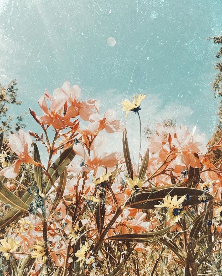 Aesthetic Spring Wallpaper