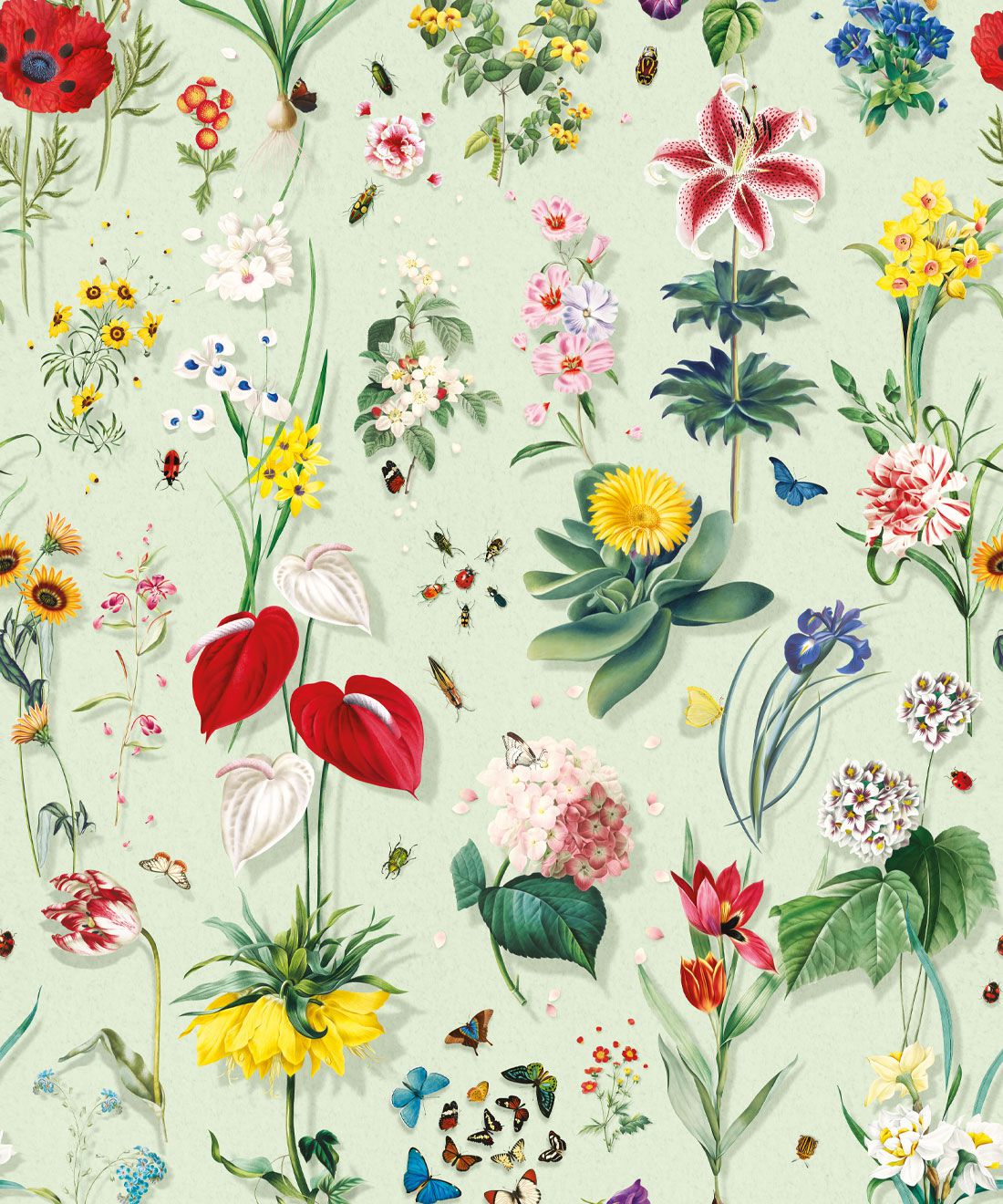 Jolie Wallpaper • Colourful Spring Floral Wallpaper Europe