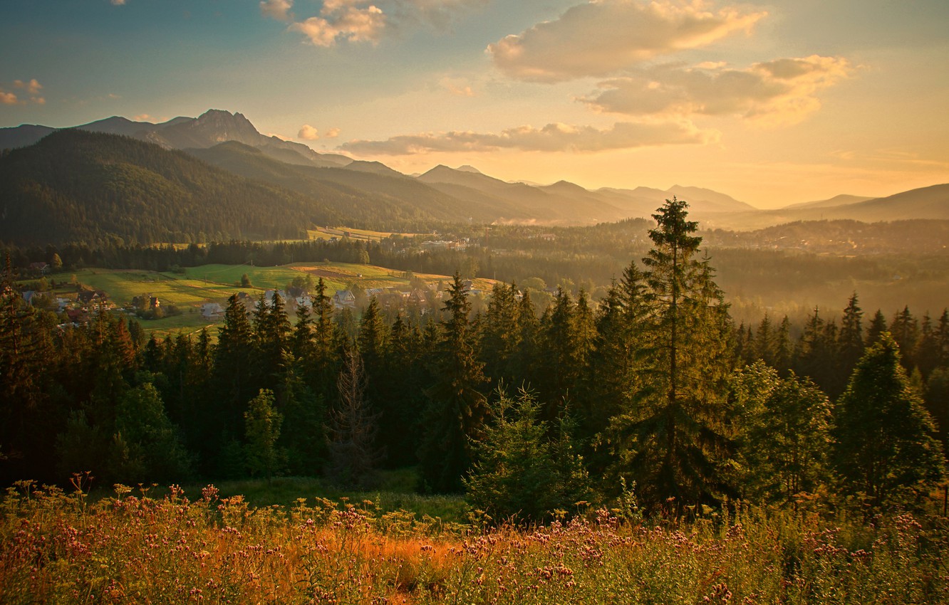 Wallpaper forest, the sky, the sun, clouds, trees, mountains, field, home, valley, Poland, Zakopane image for desktop, section пейзажи