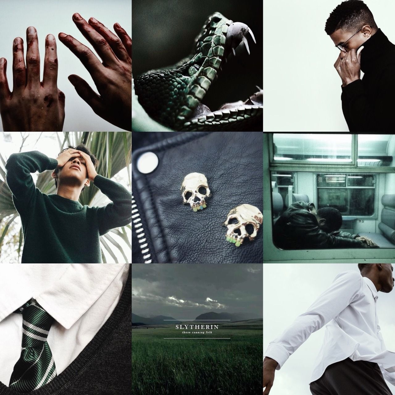 Blaise Zabini aesthetic. Draco malfoy aesthetic, Slytherin aesthetic, Harry potter aesthetic