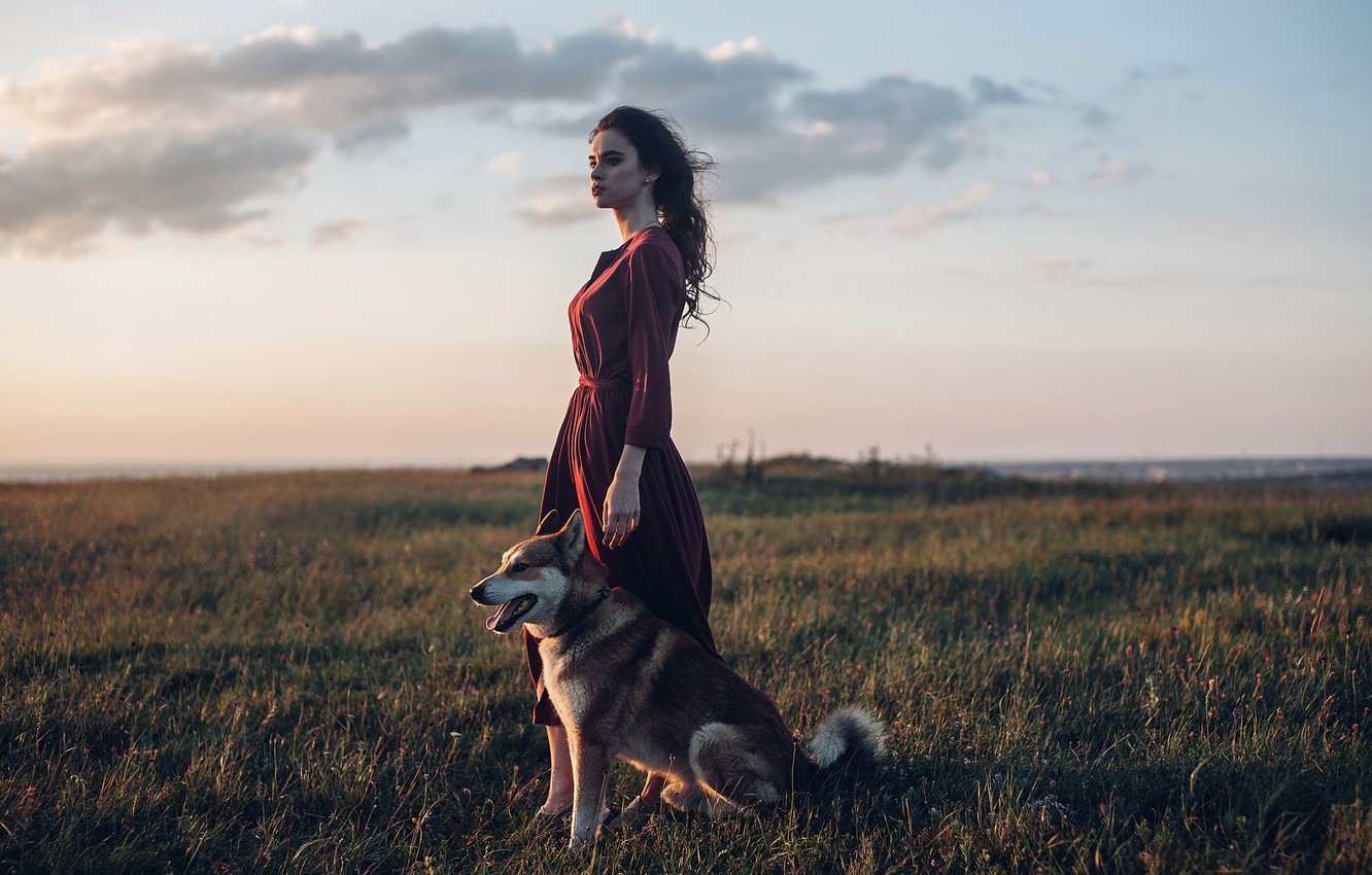 Wallpaper girl, dog, dress, meadow, Rome Rome image for desktop, section настроения