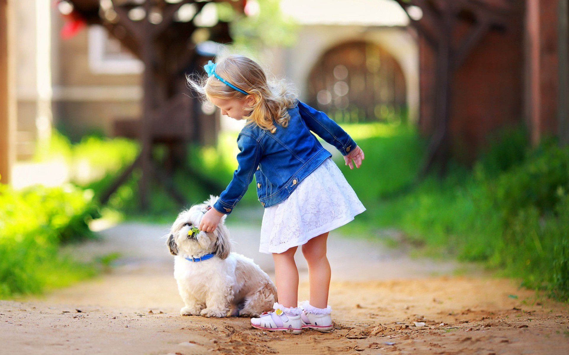Cute Little Girl Play White Dog Wallpaper