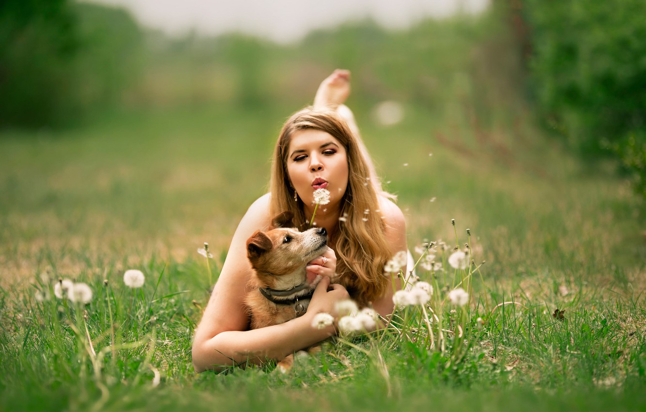 Wallpaper girl, glade, woman, dog, dandelions image for desktop, section настроения
