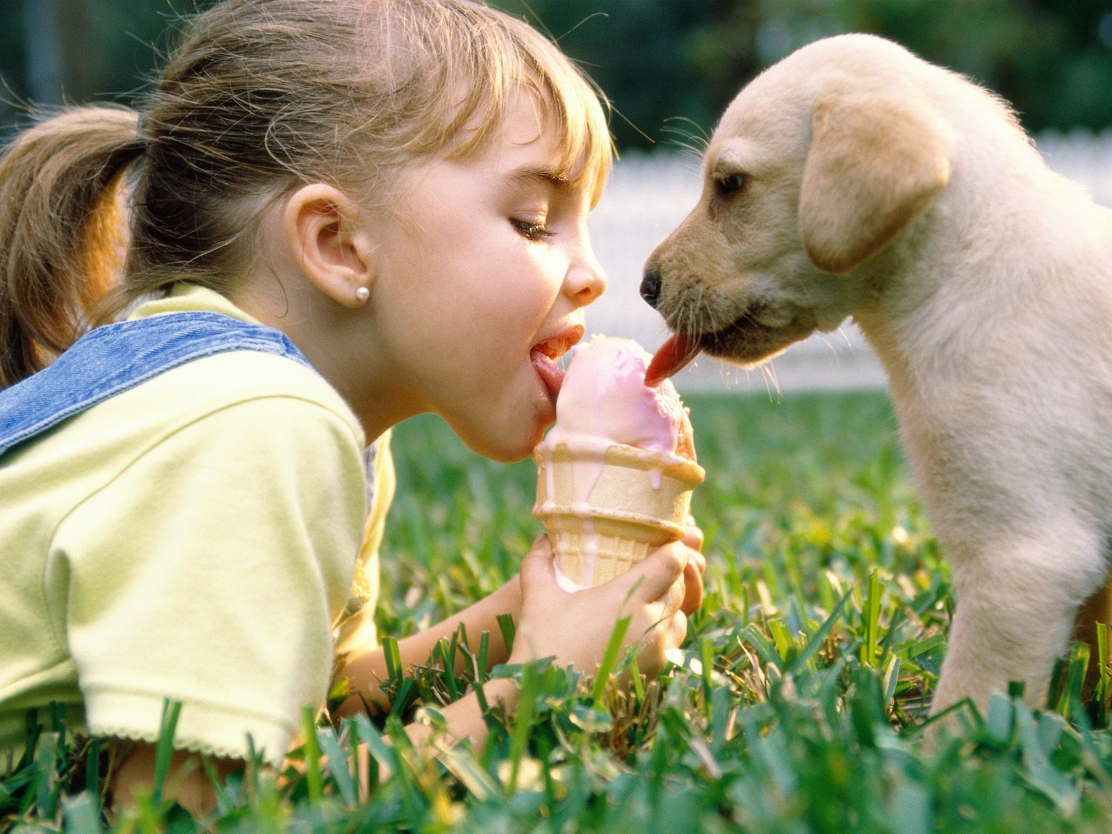 Girl and puppy wallpaper. Girl and puppy