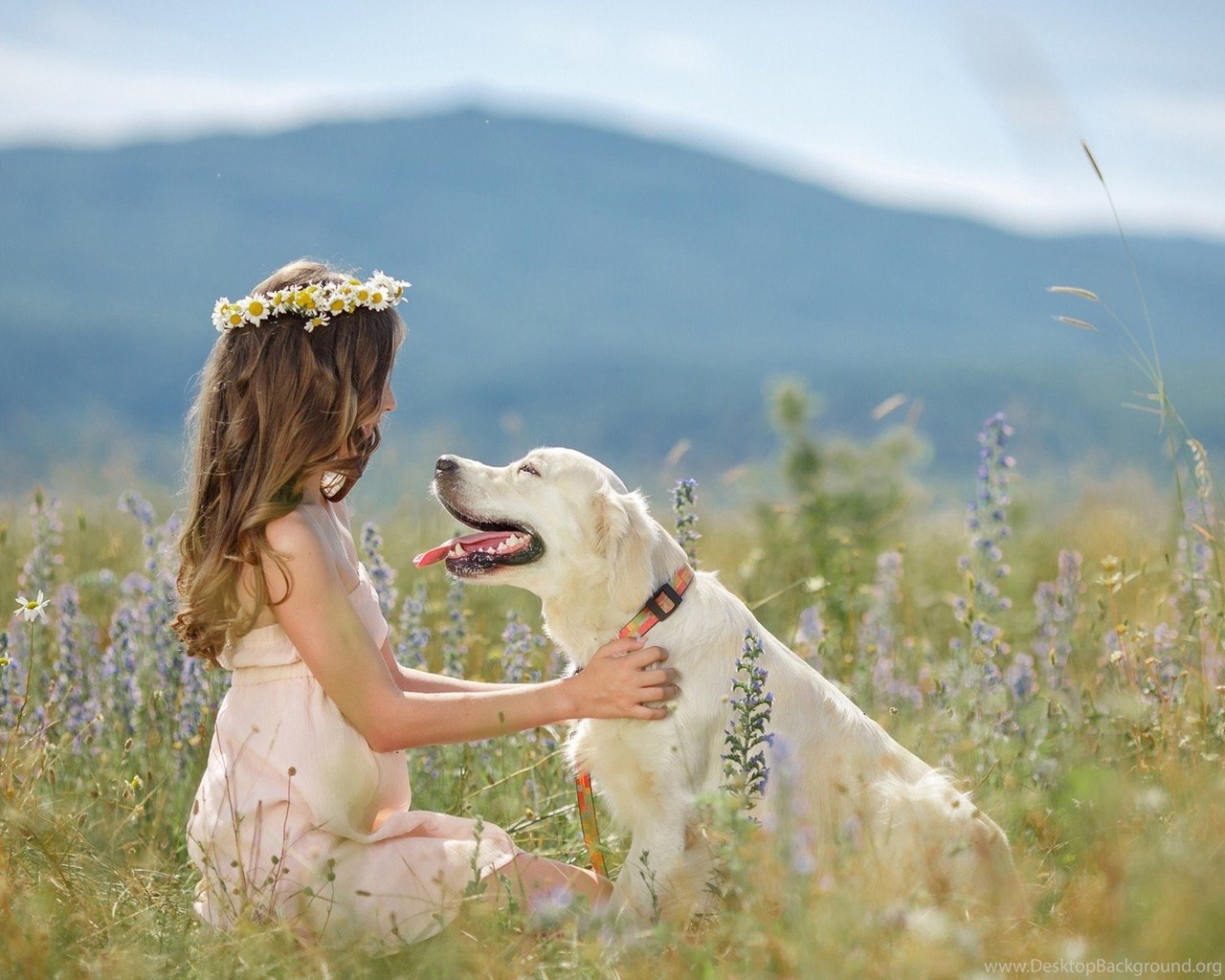 Girl With Dogs Wallpaper Desktop Background