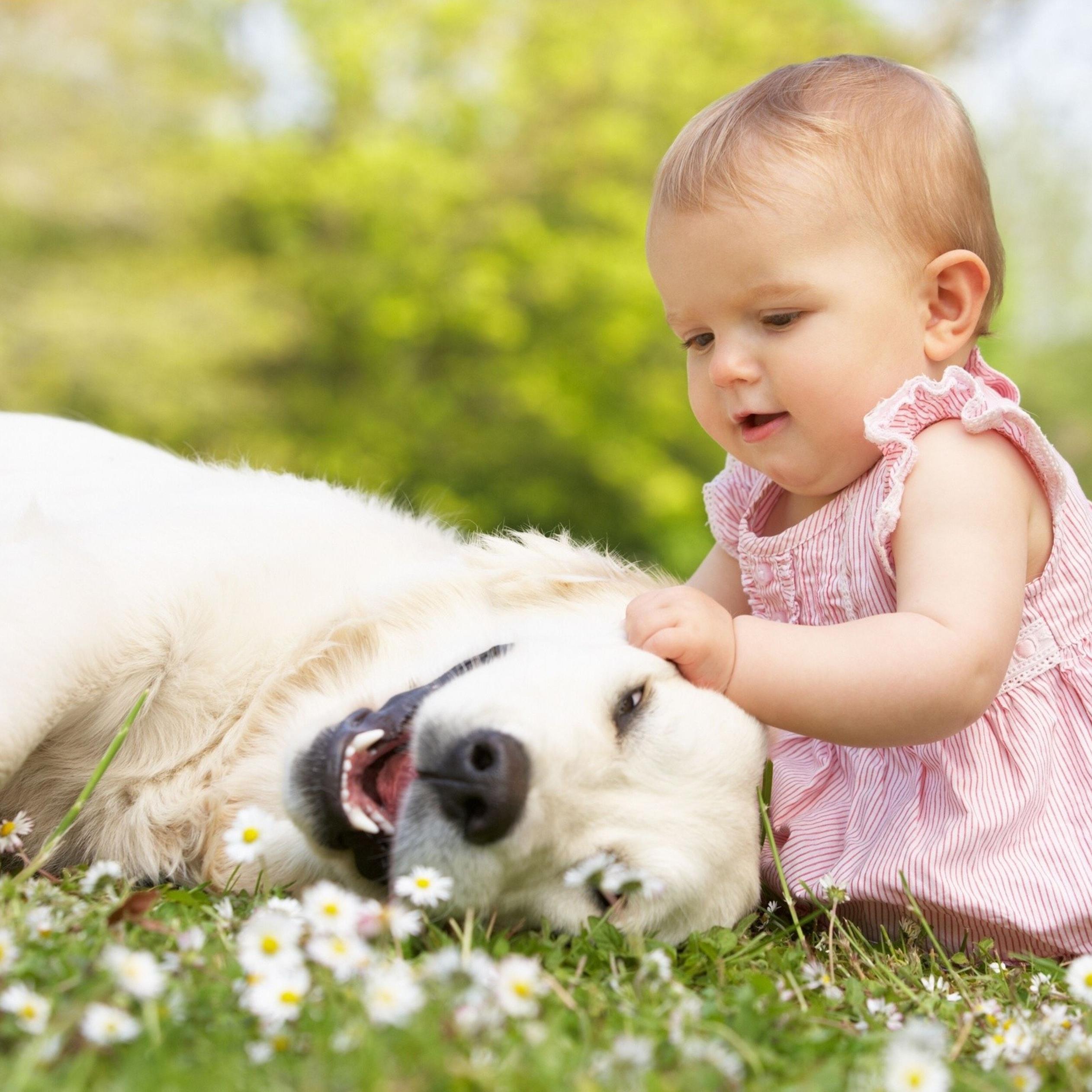 Baby girl plays with her white dog