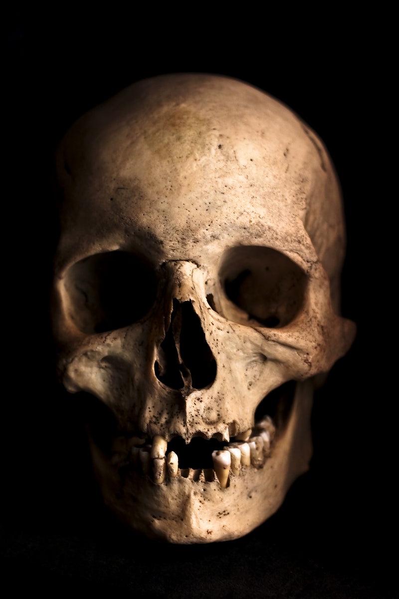 Human Skull Image Wallpaper