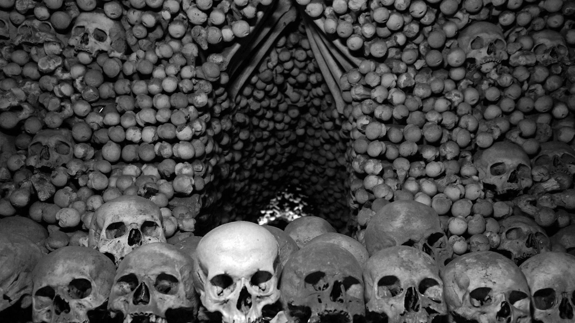 skull, Bones, Czech Republic, Monochrome HD Wallpaper / Desktop and Mobile Image & Photo