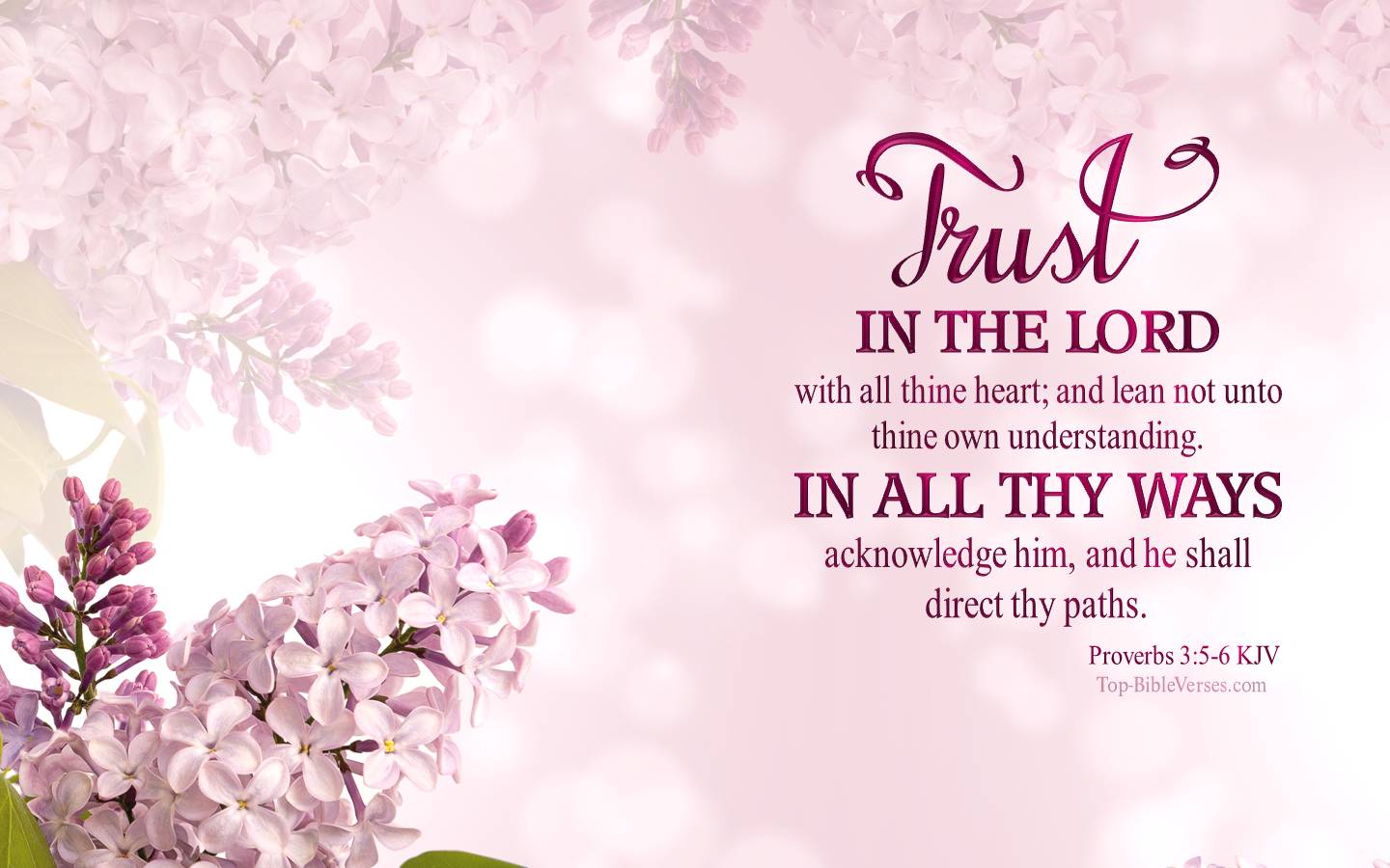 Proverbs 3:5 6 KJV Desktop Wallpaper. Bible Verse Wallpaper