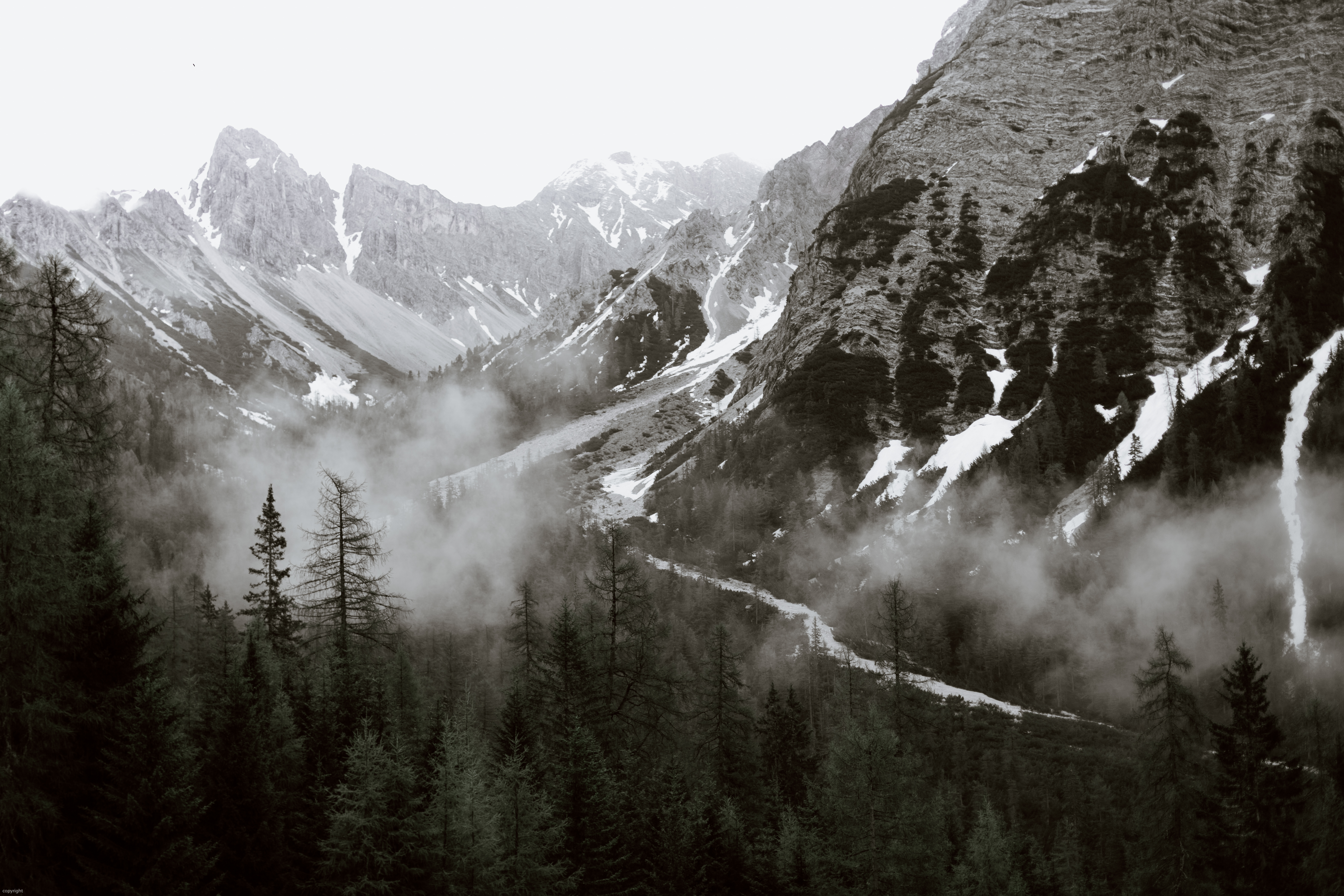 Mountains covered with snow and fog above forest · Free