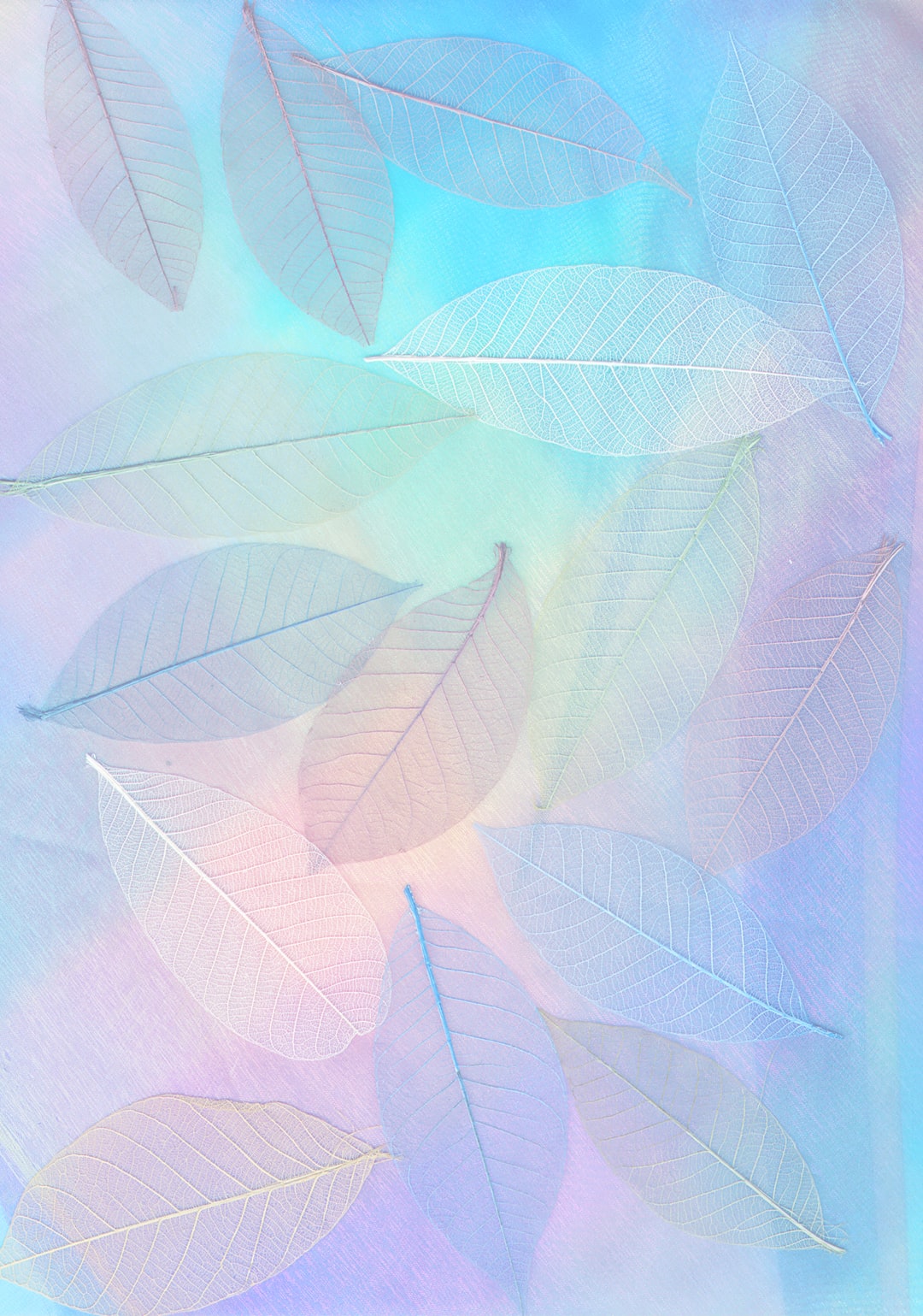Pastel Wallpaper: Free HD Download [HQ]