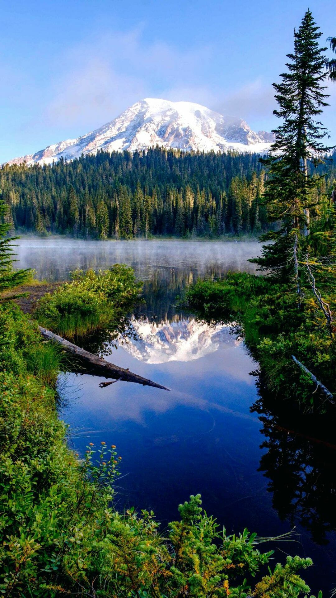 American Landscape Wallpaper Mount Rainier National Park Mobile (2022)